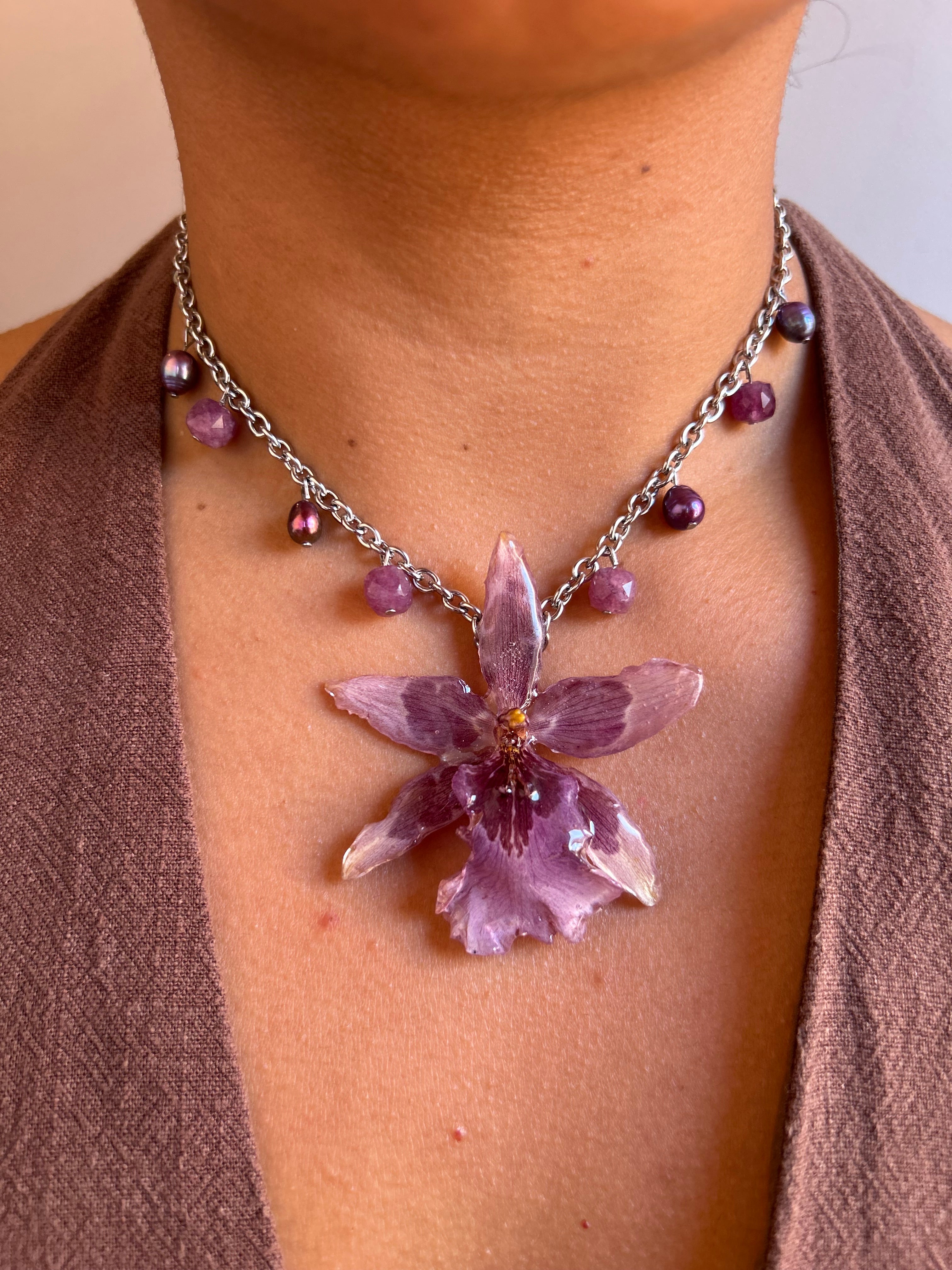 Orchid exotic star