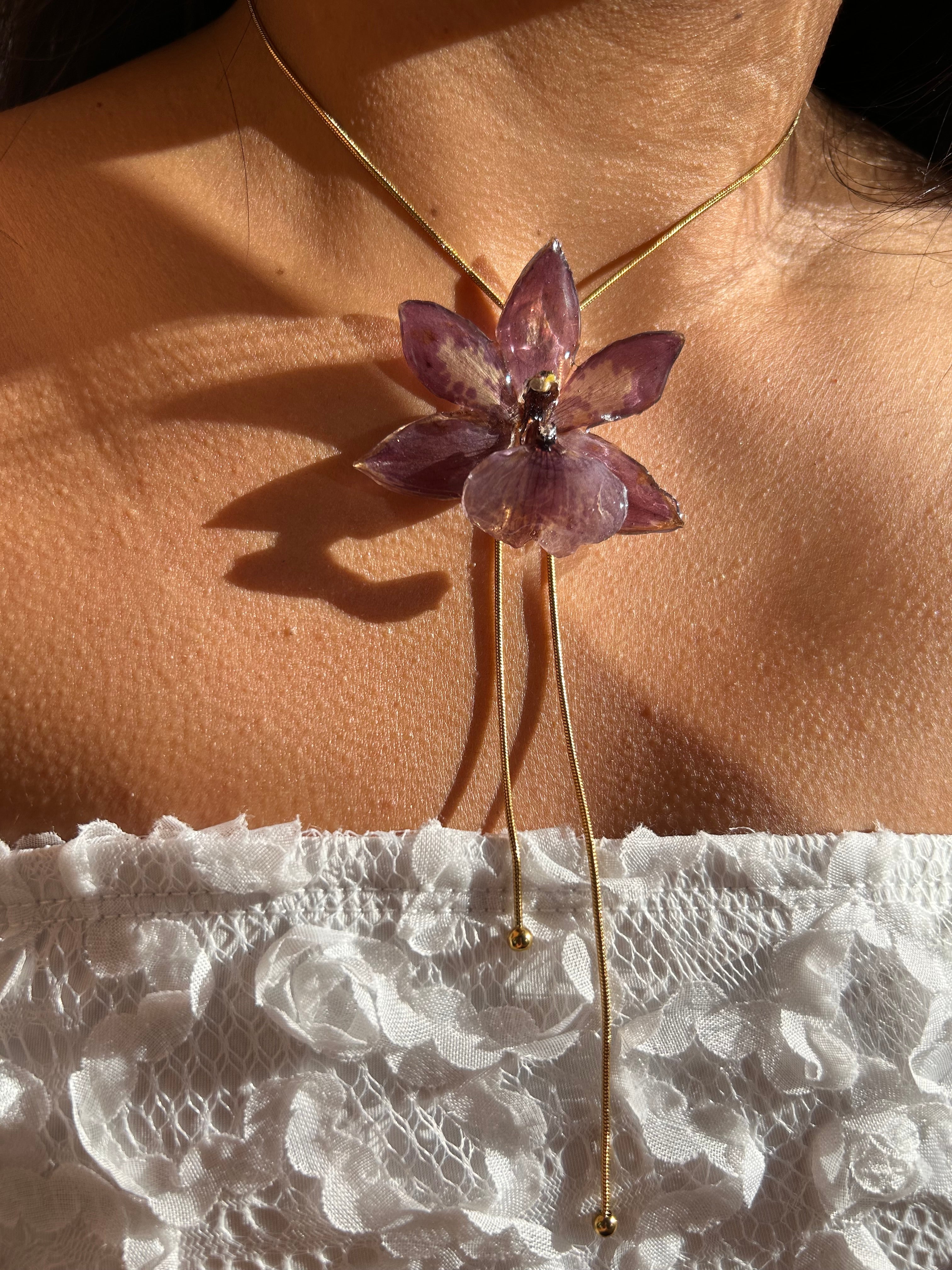 Orchid zygopetalum