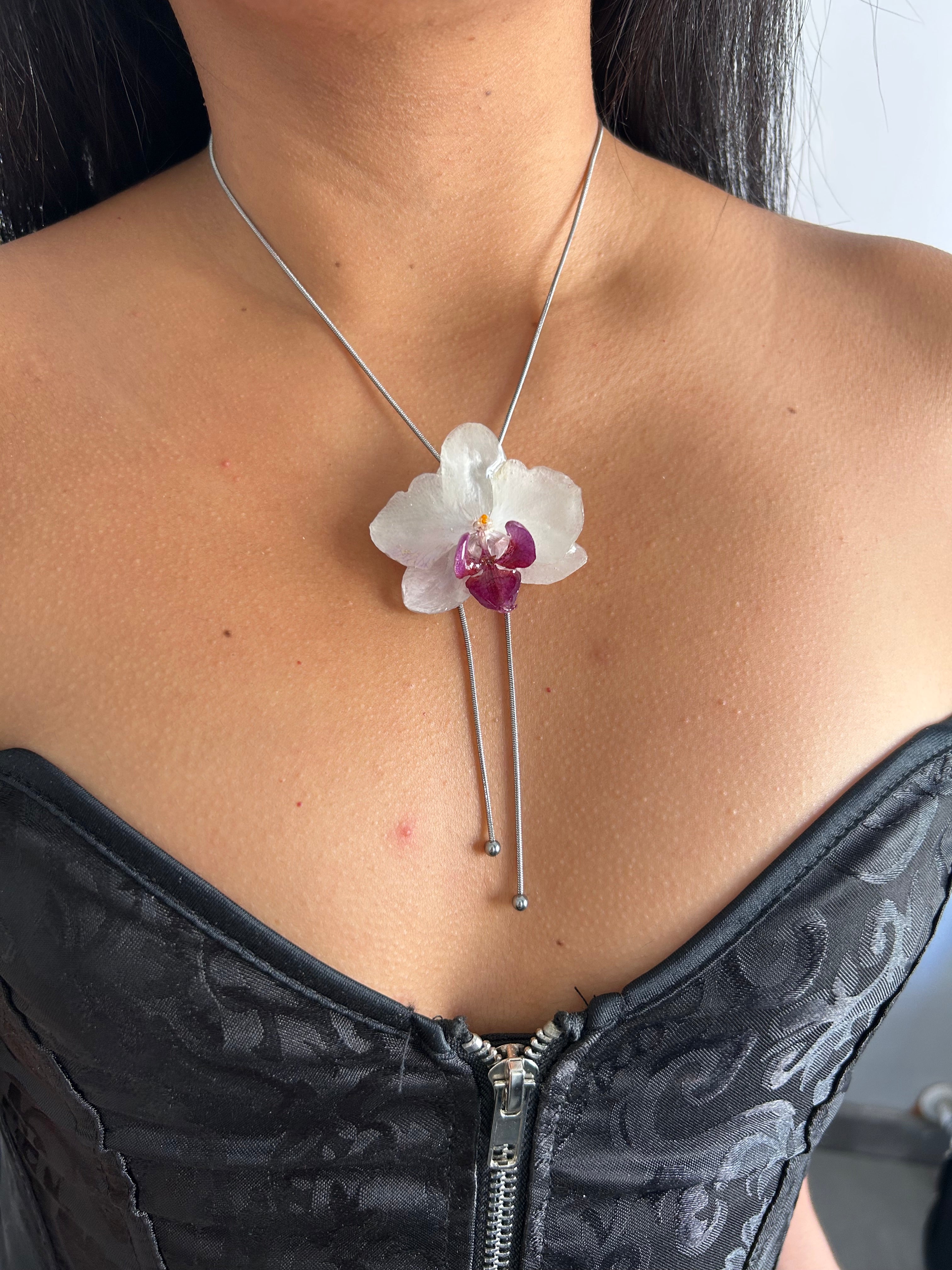 Orchid mini white