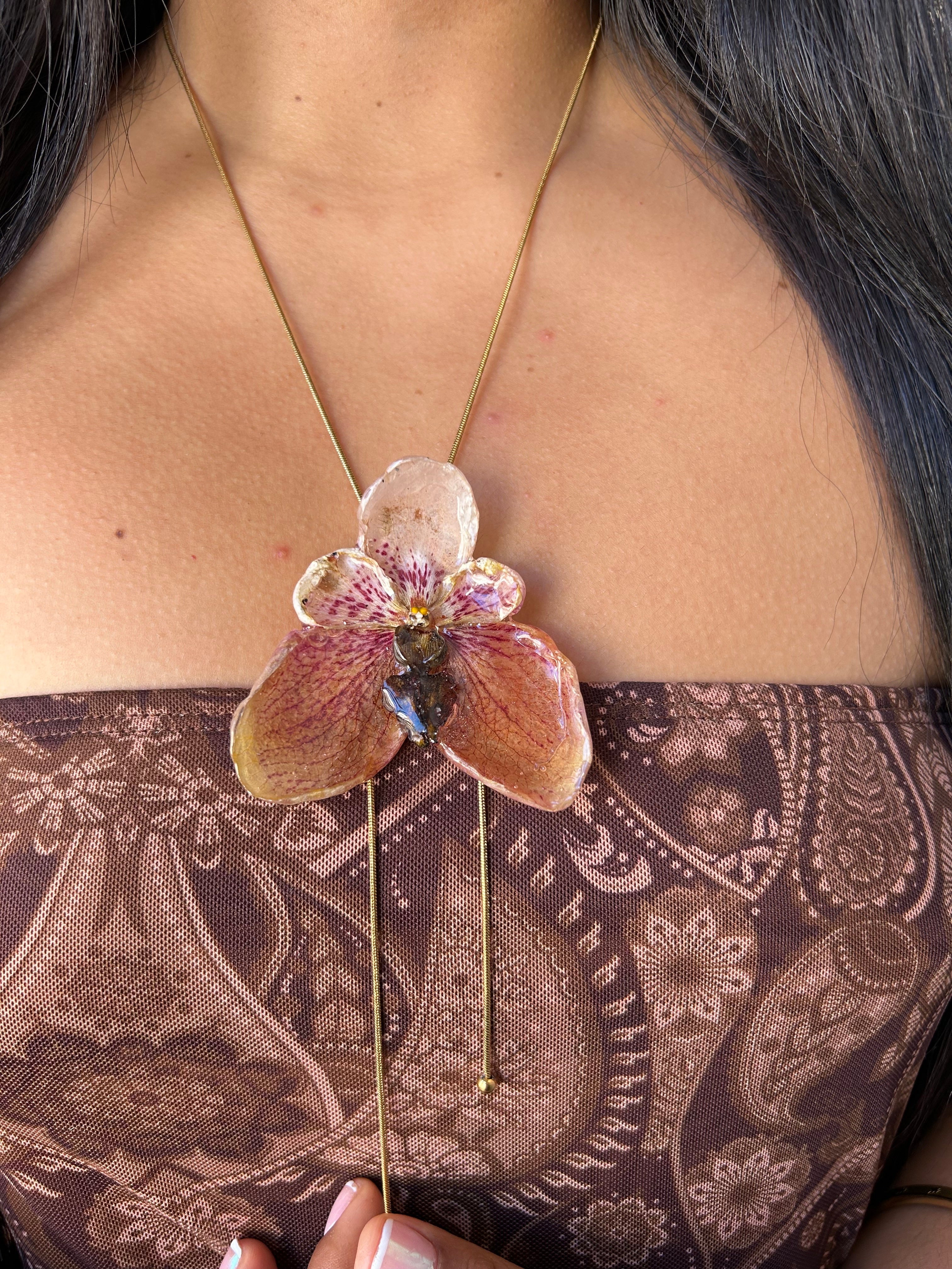 Orchid Vanda de colección