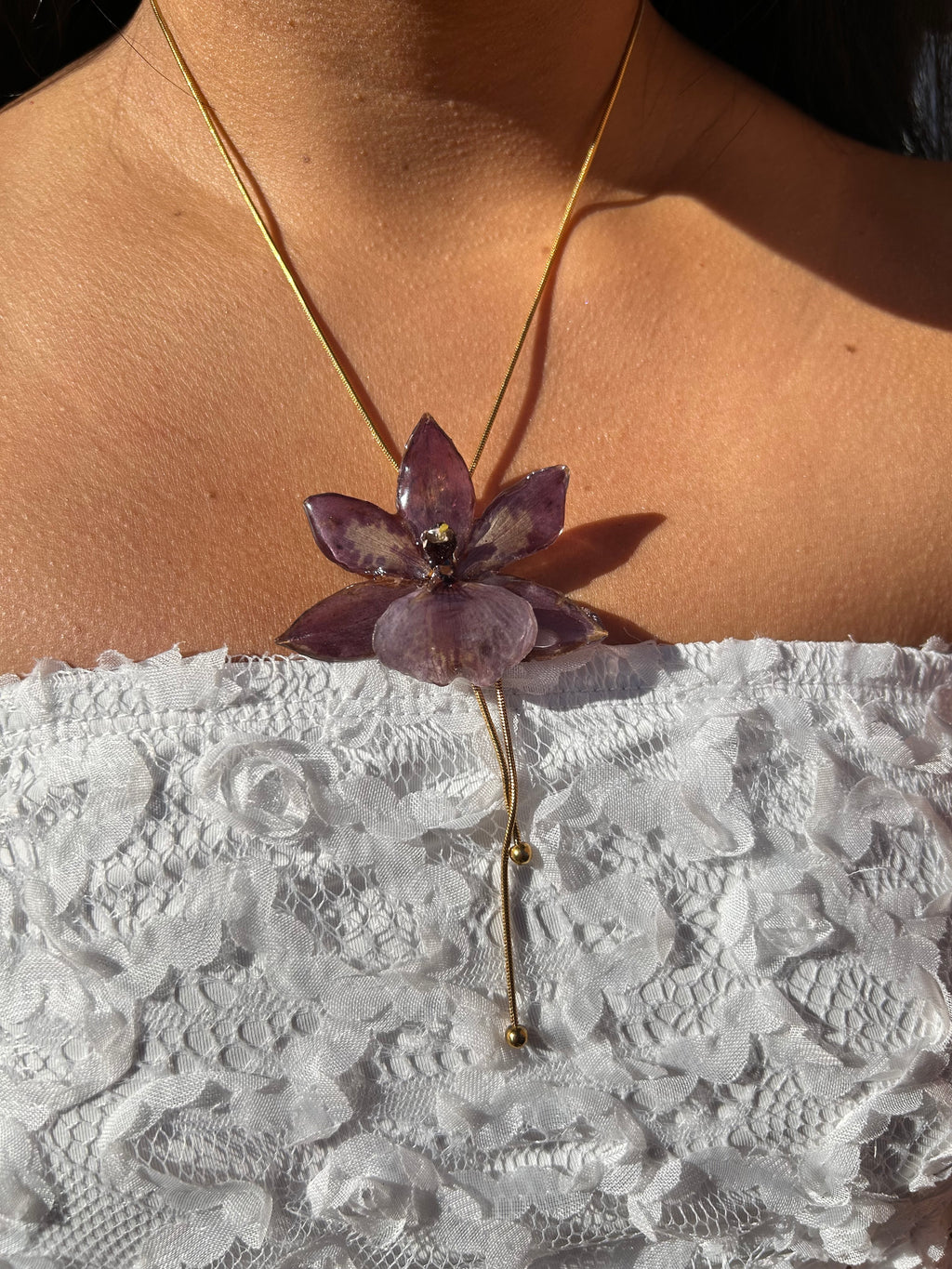 Orchid zygopetalum