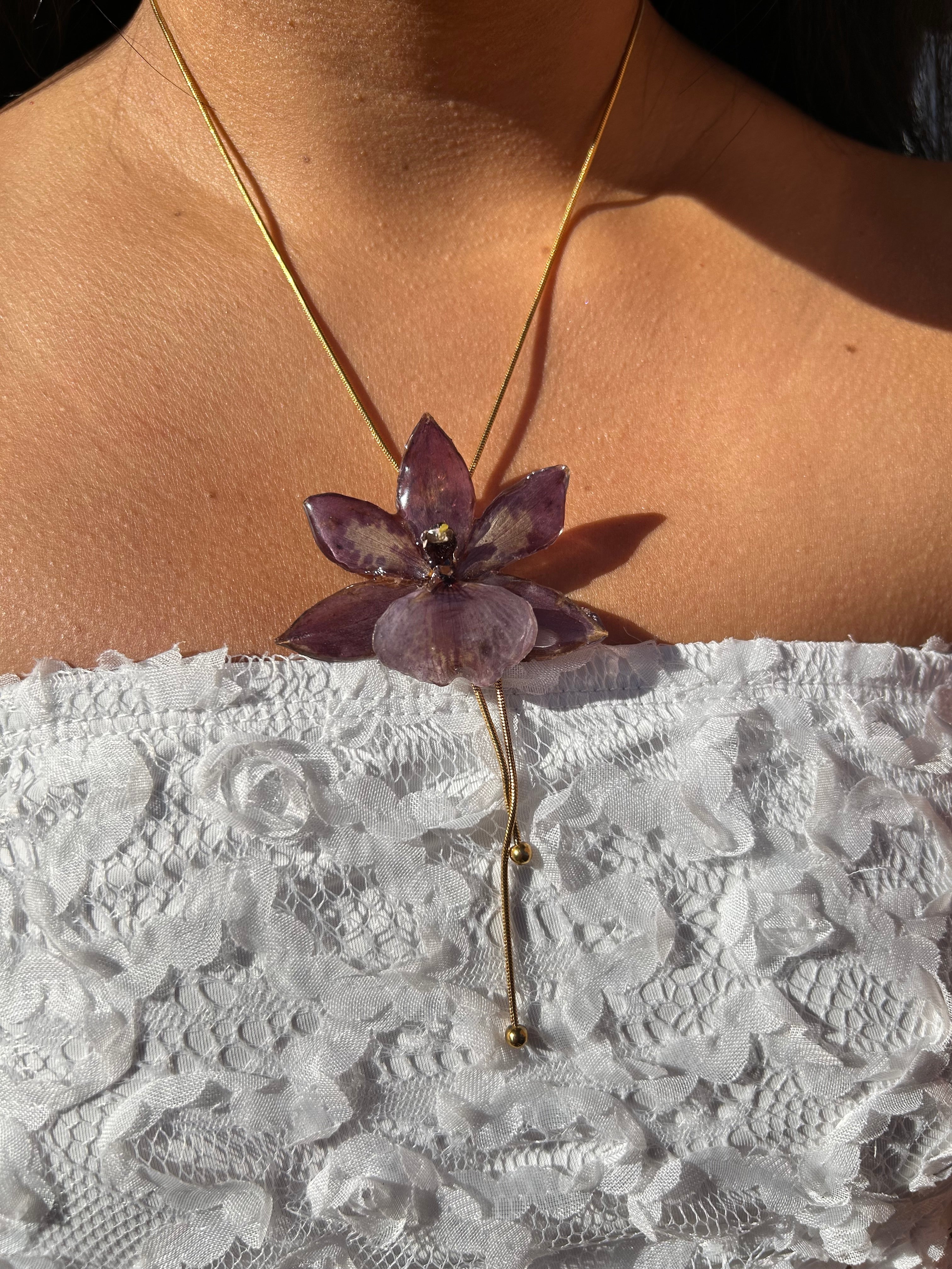 Orchid zygopetalum