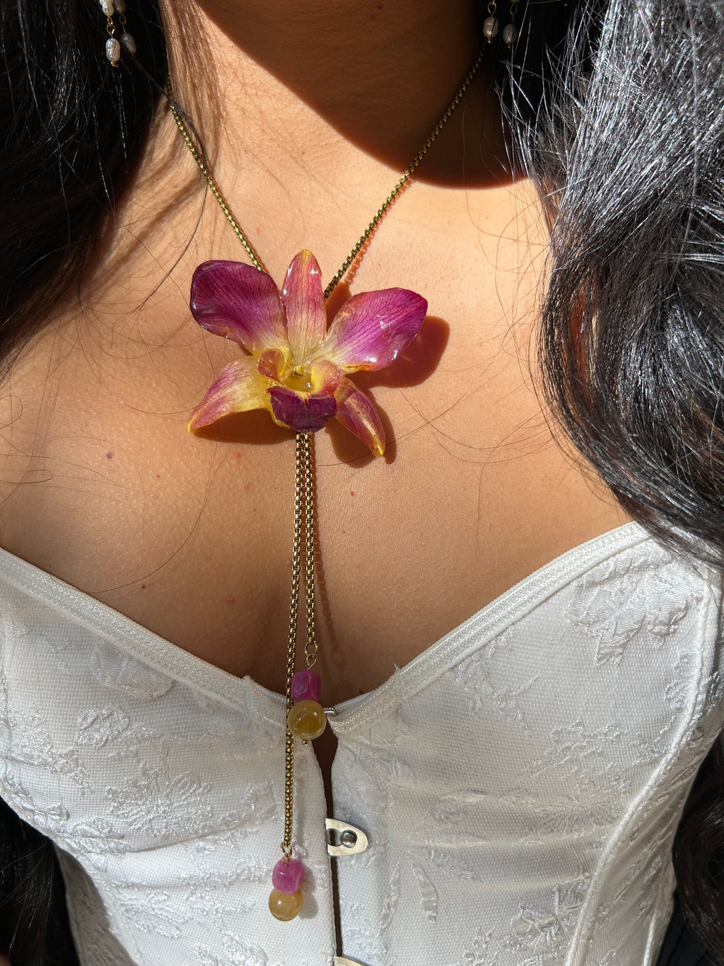 Orchid dendrobium bello atardecer