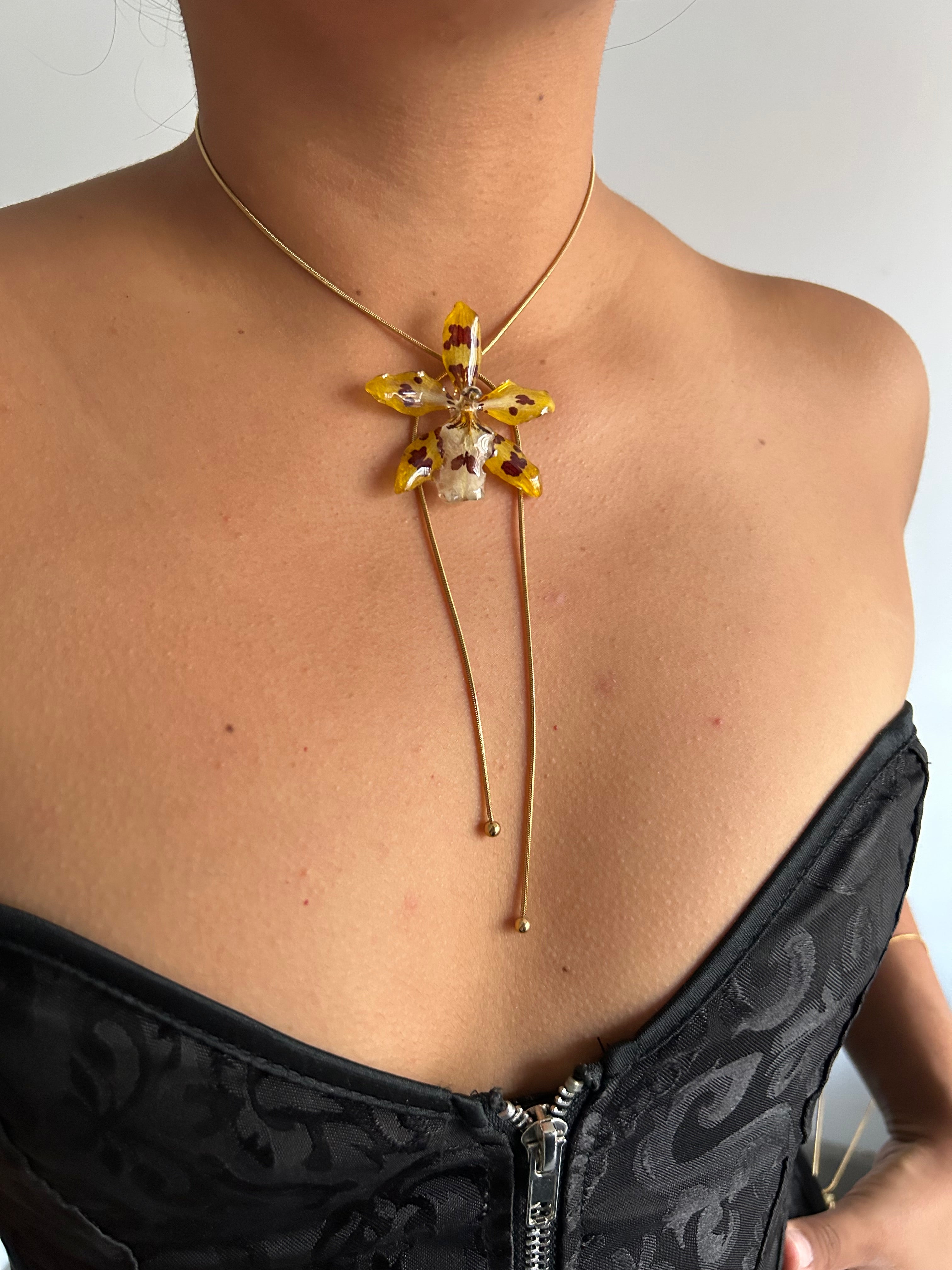 Exotic wild yellow