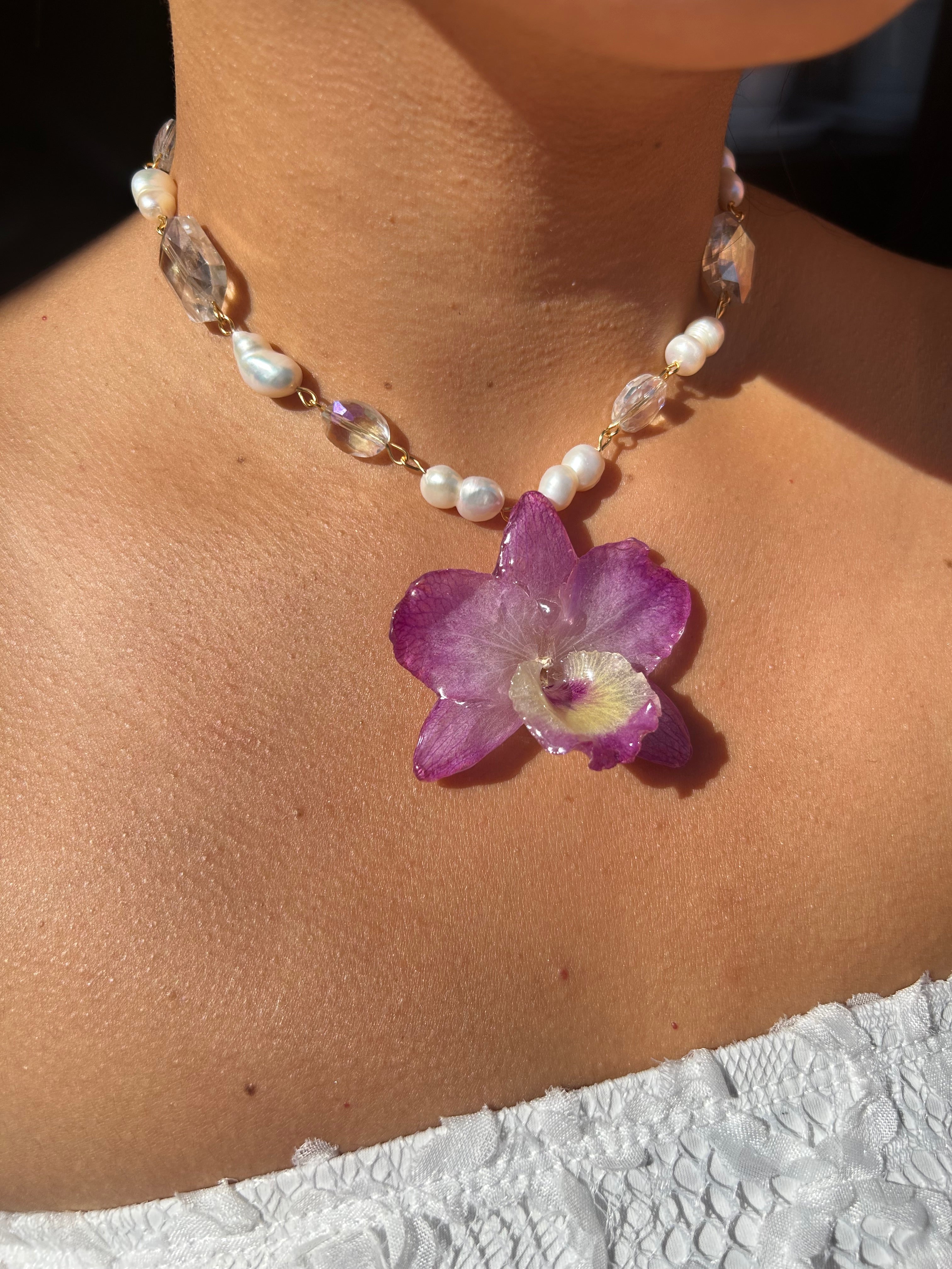 Orchid dendrobium nobile with pearls