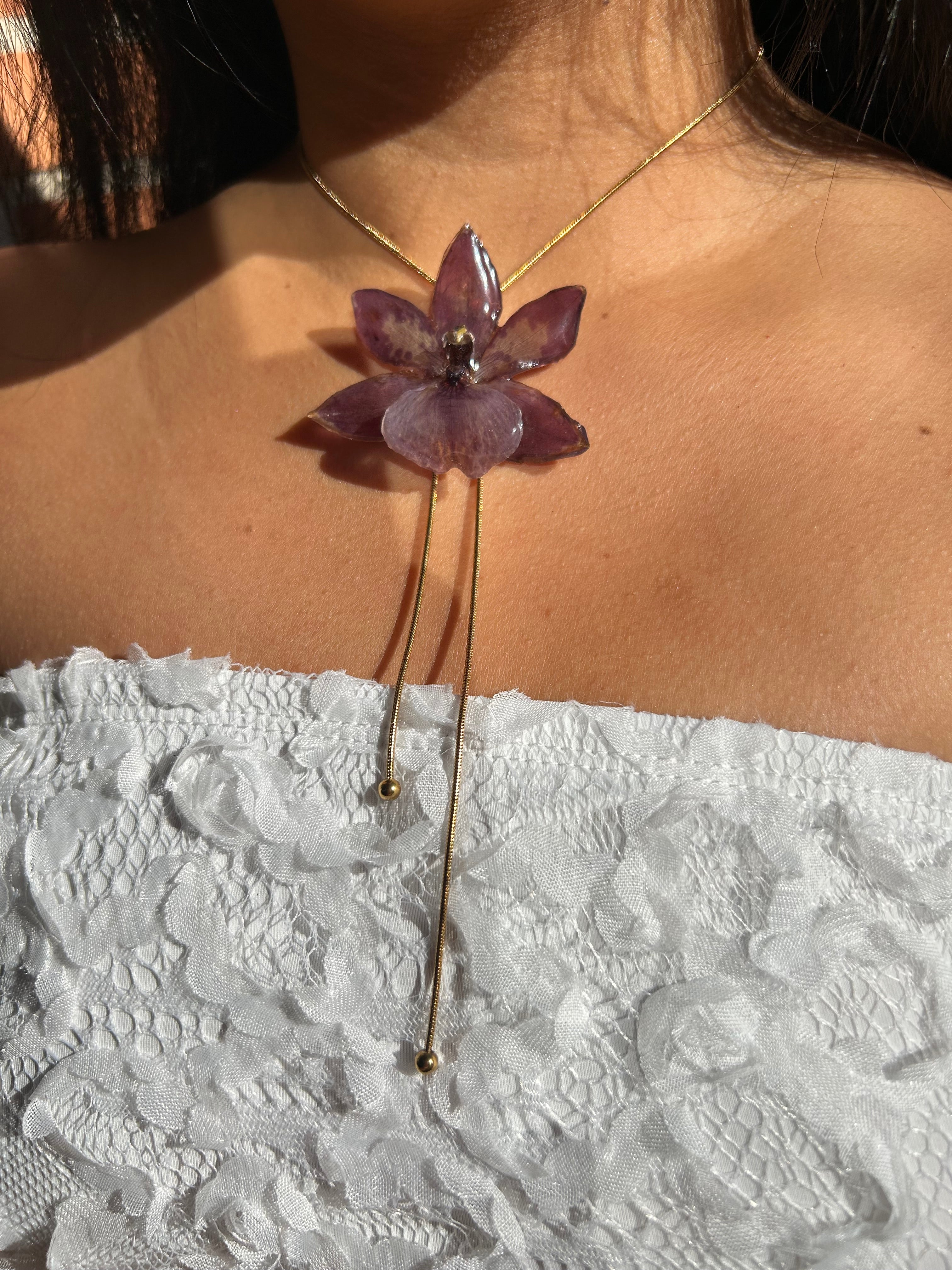 Orchid zygopetalum