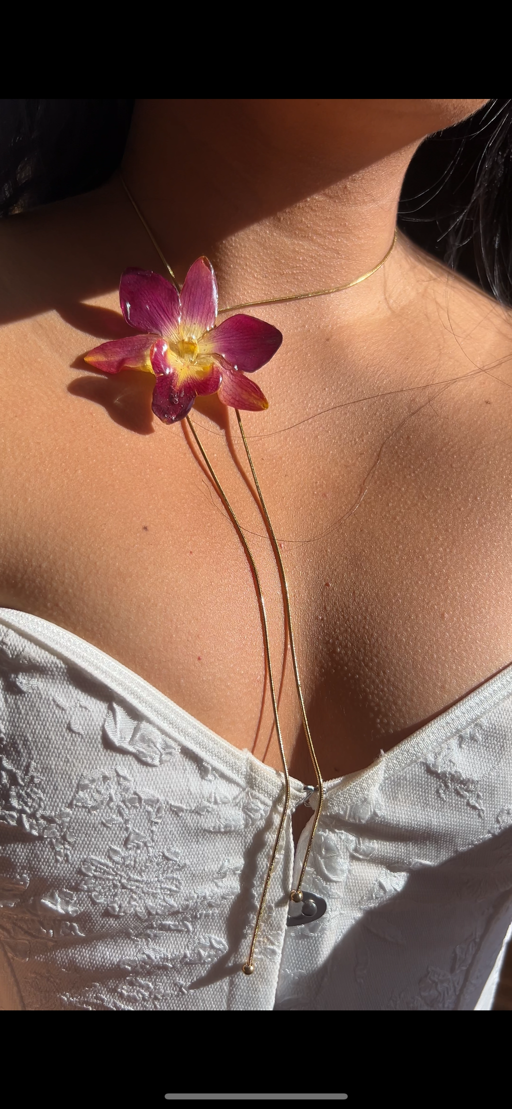 Orchid bello atardecer