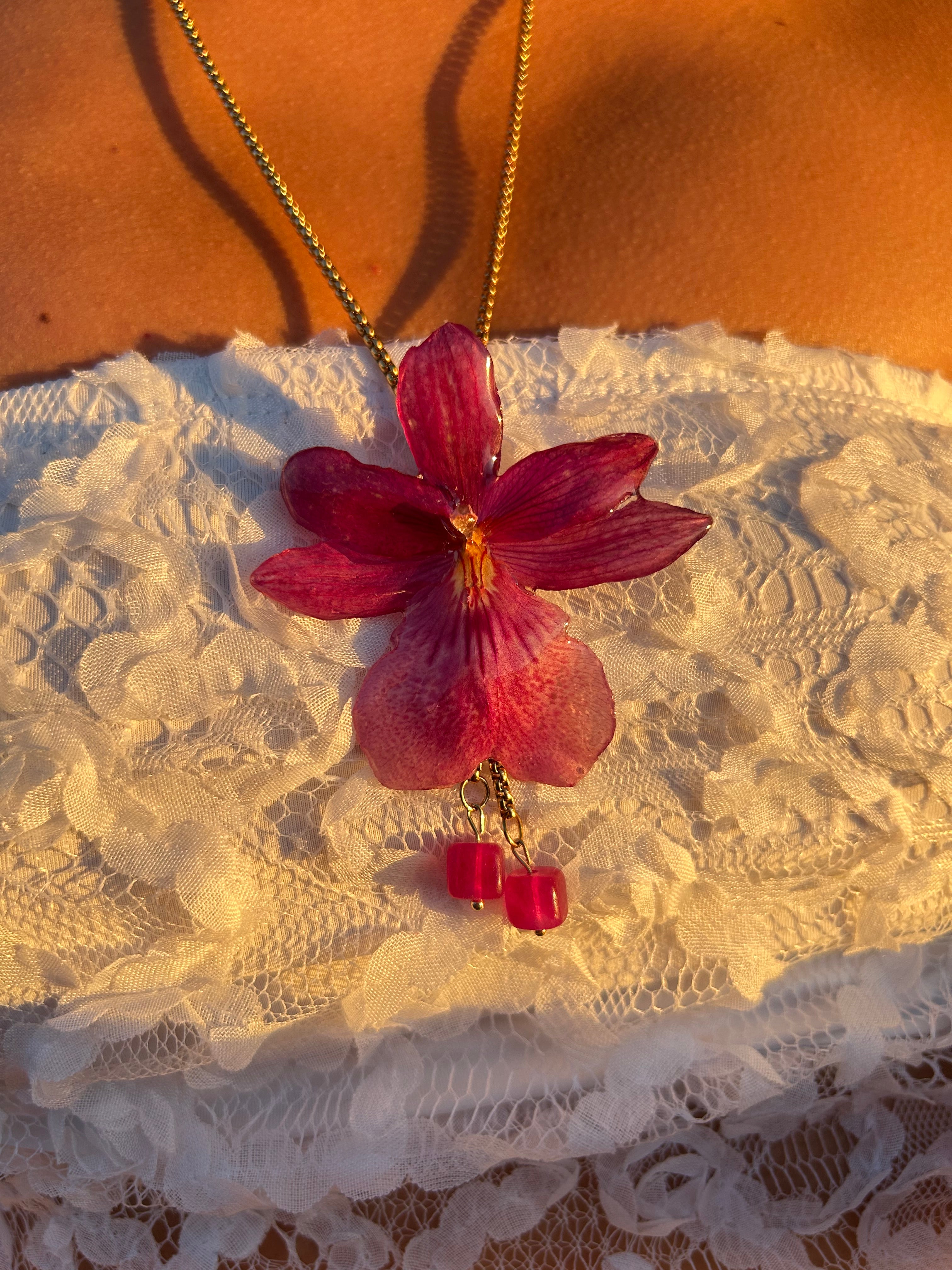 Orchid Nelly isler fucsia
