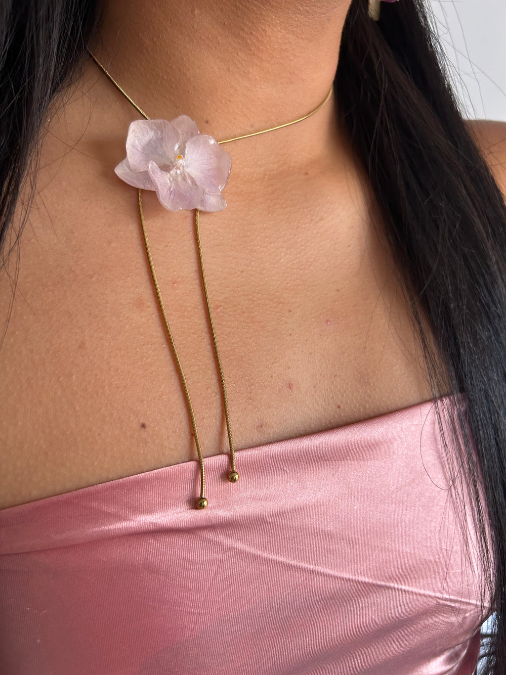 Orchid mini phalaenopsis