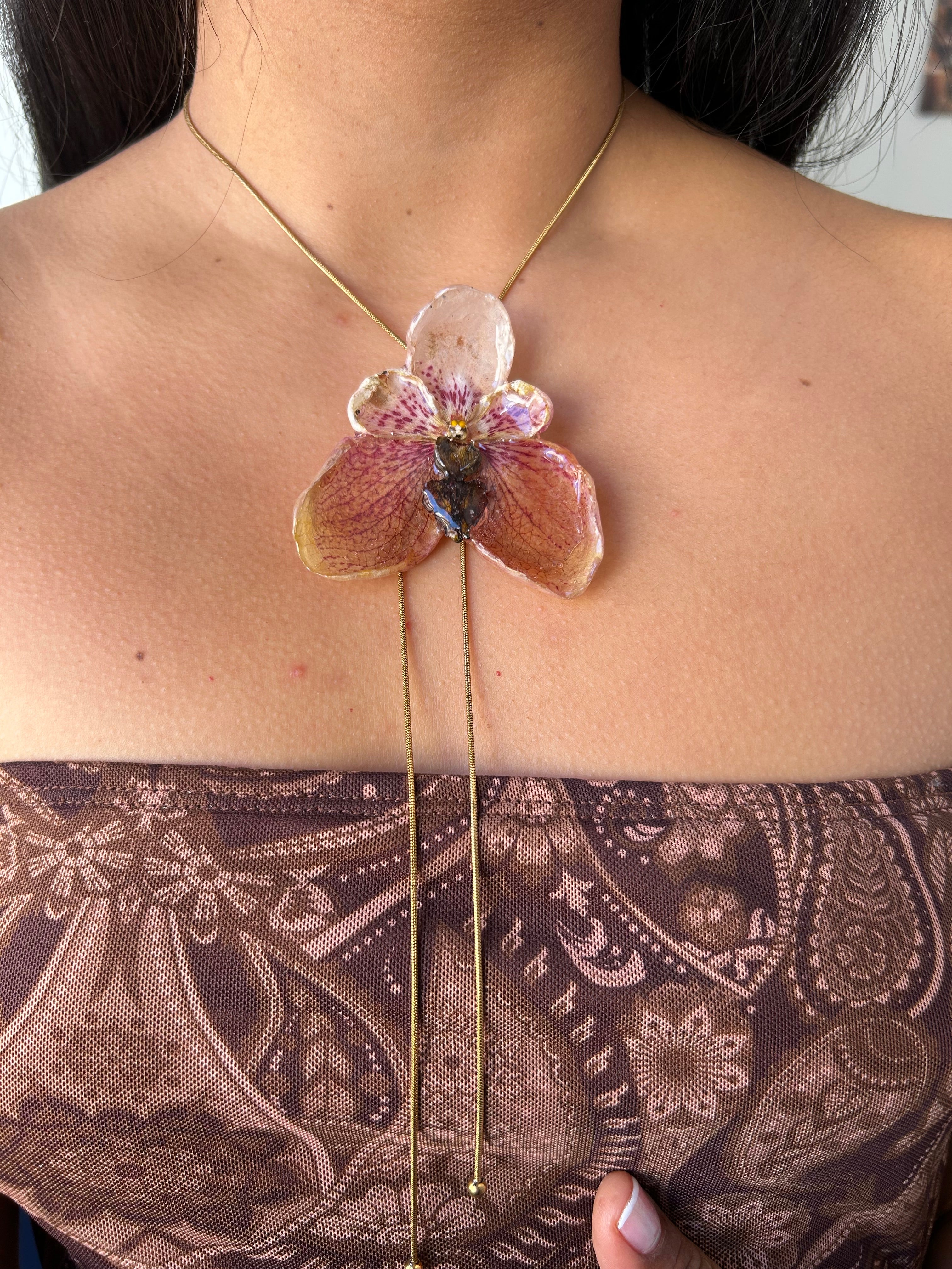 Orchid Vanda de colección