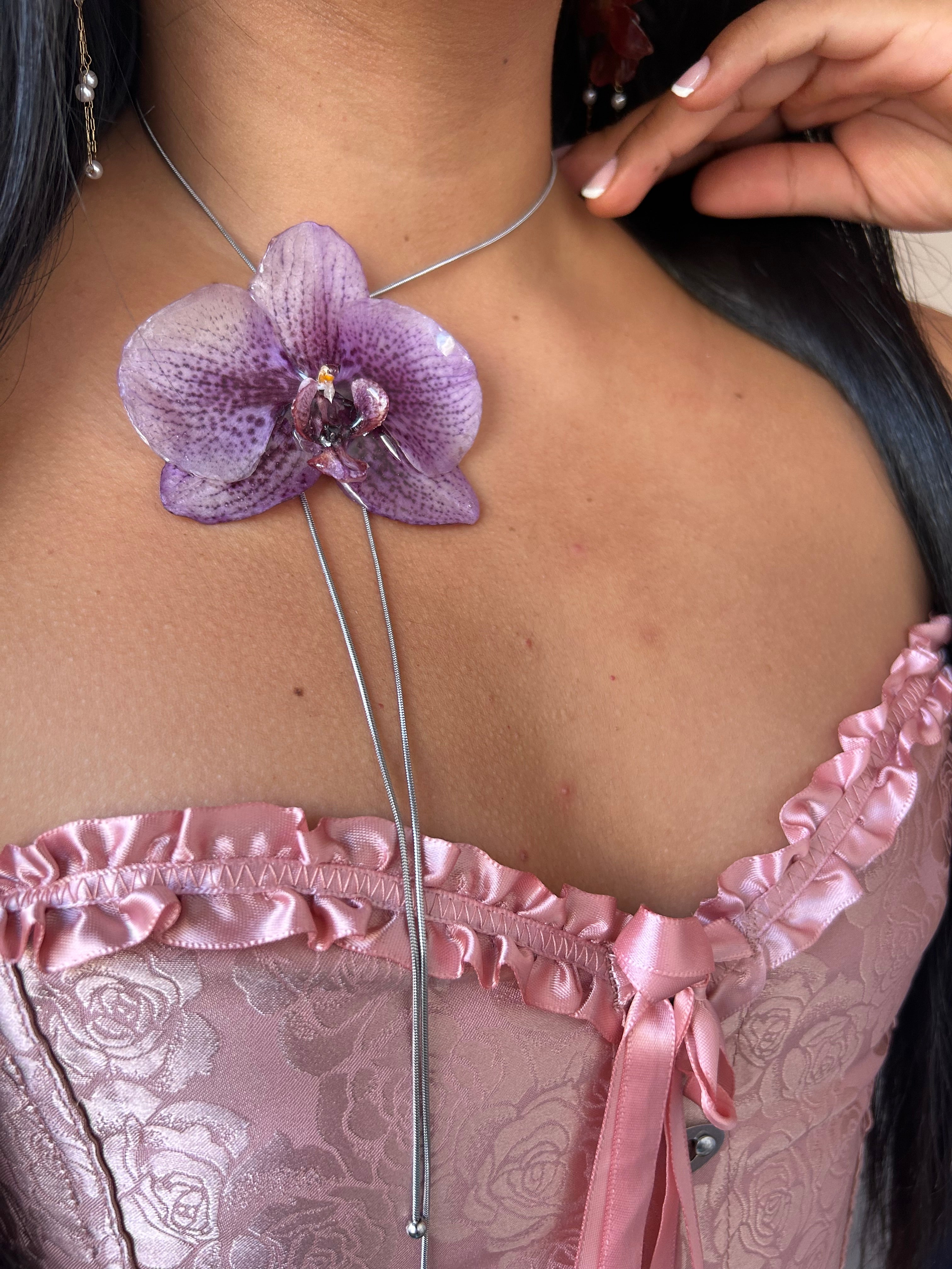 Grand Orchid phalaenopsis