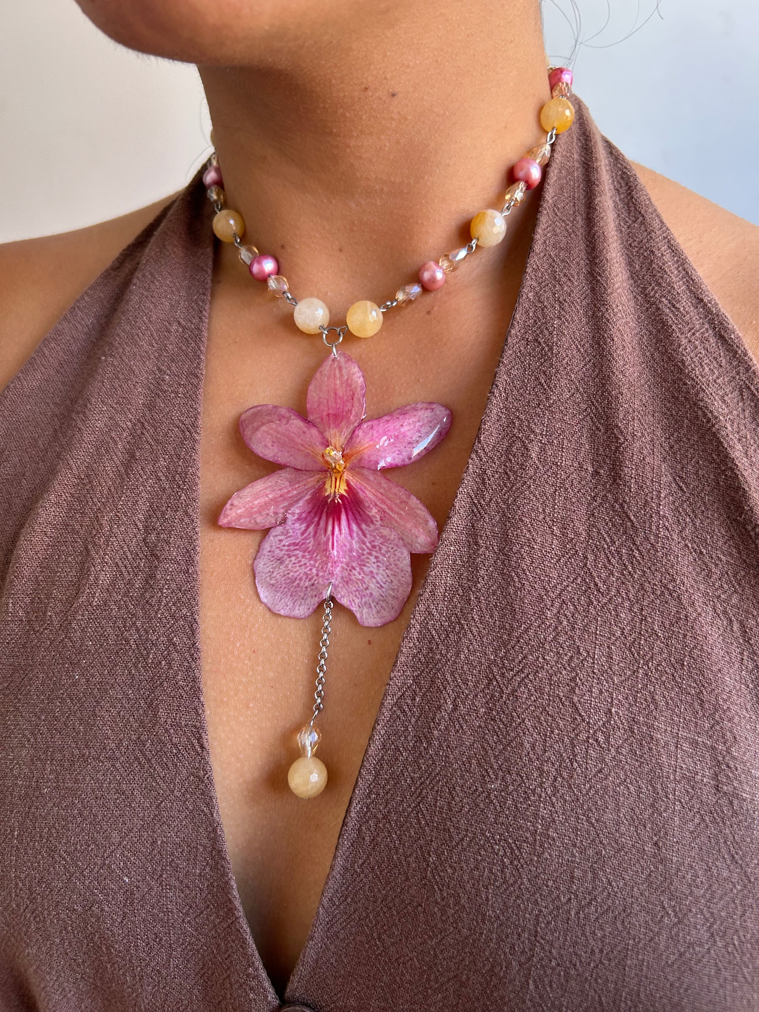 Orchid Nelly Pink