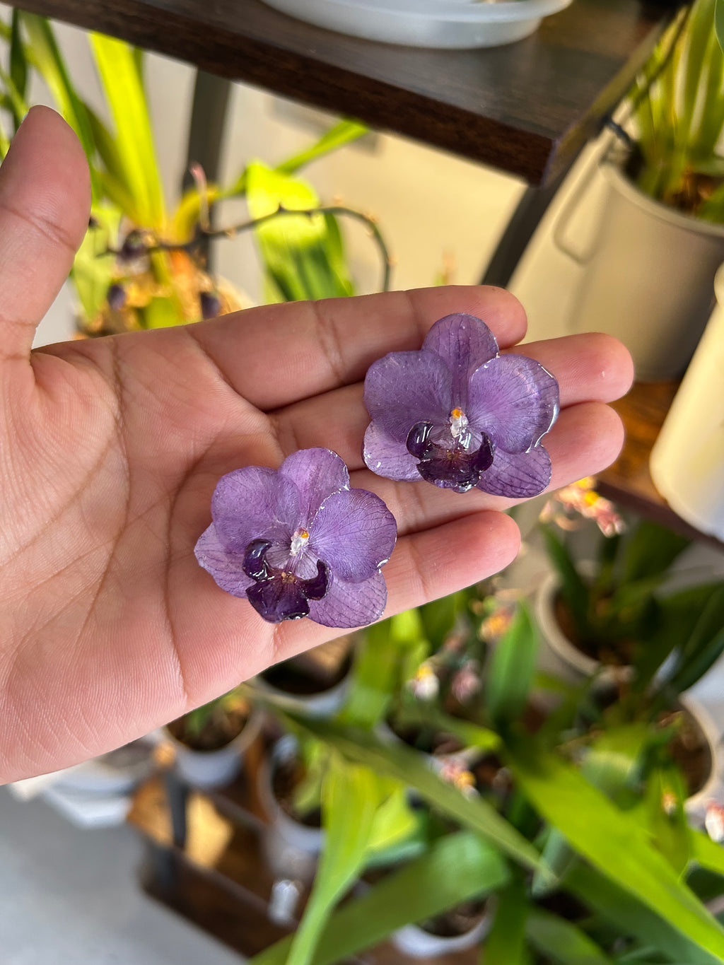 Orchid mini purple