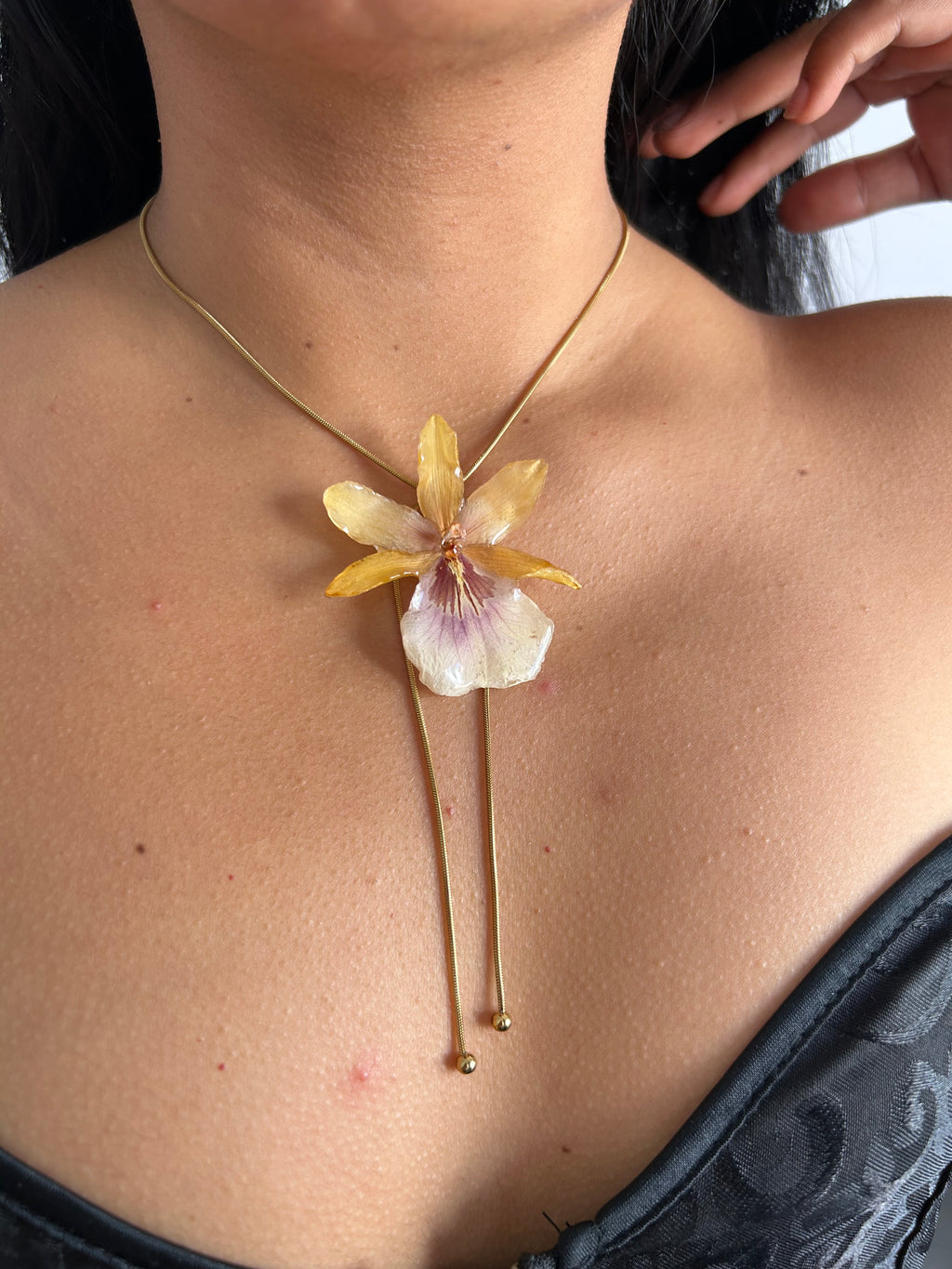 Exotic orchid yellow
