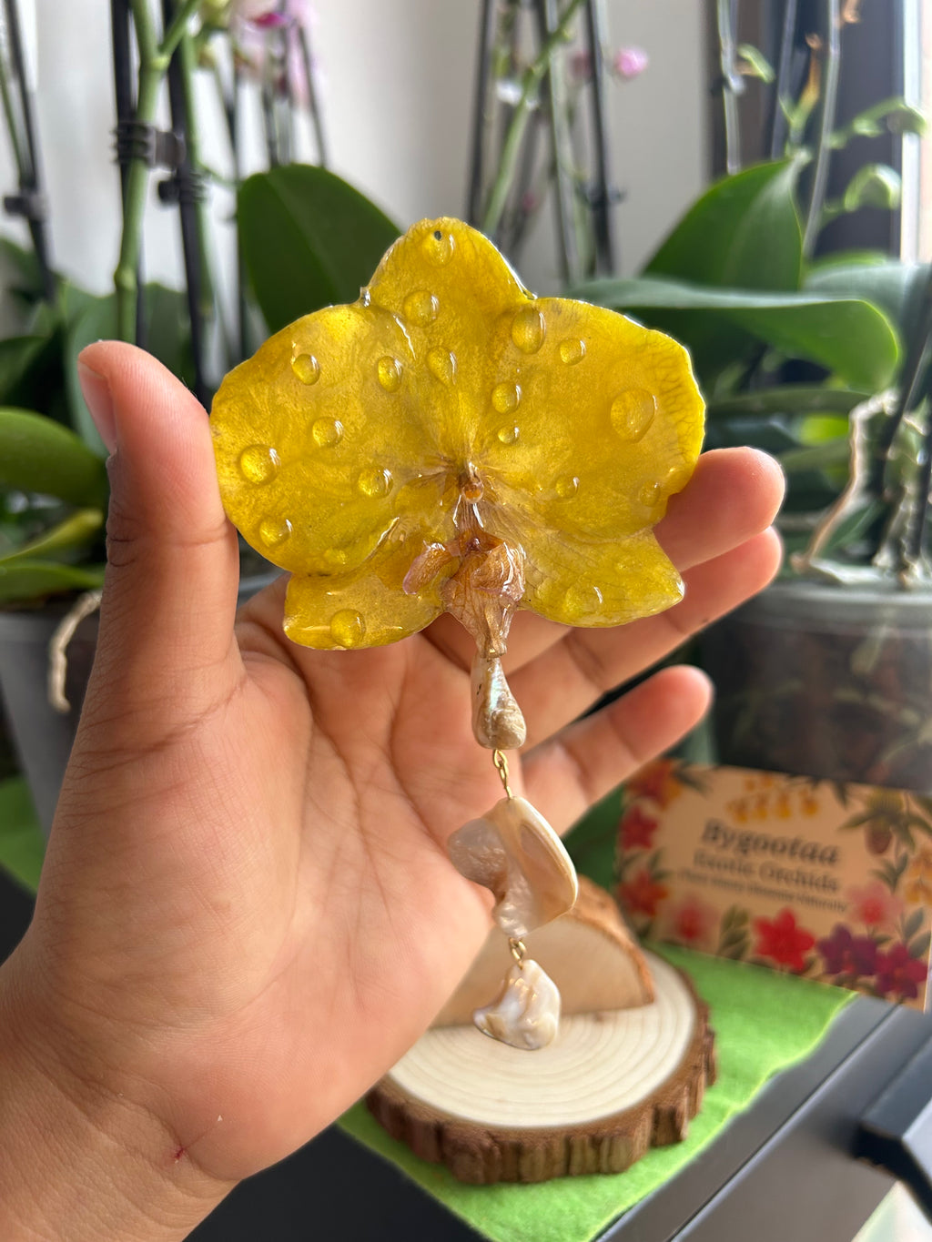 hair hook large phalaenopsis orchid