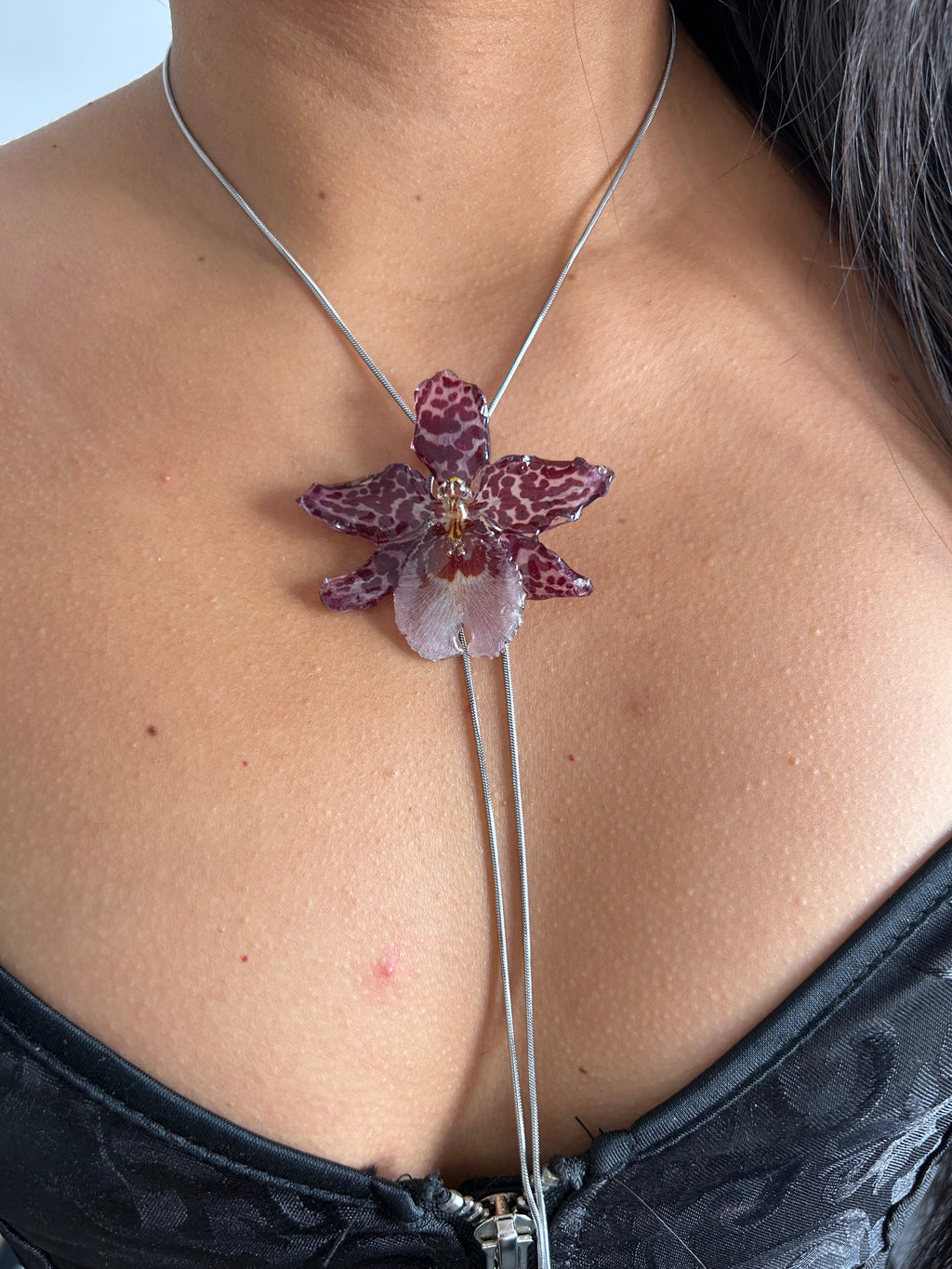 Exotic Orchid