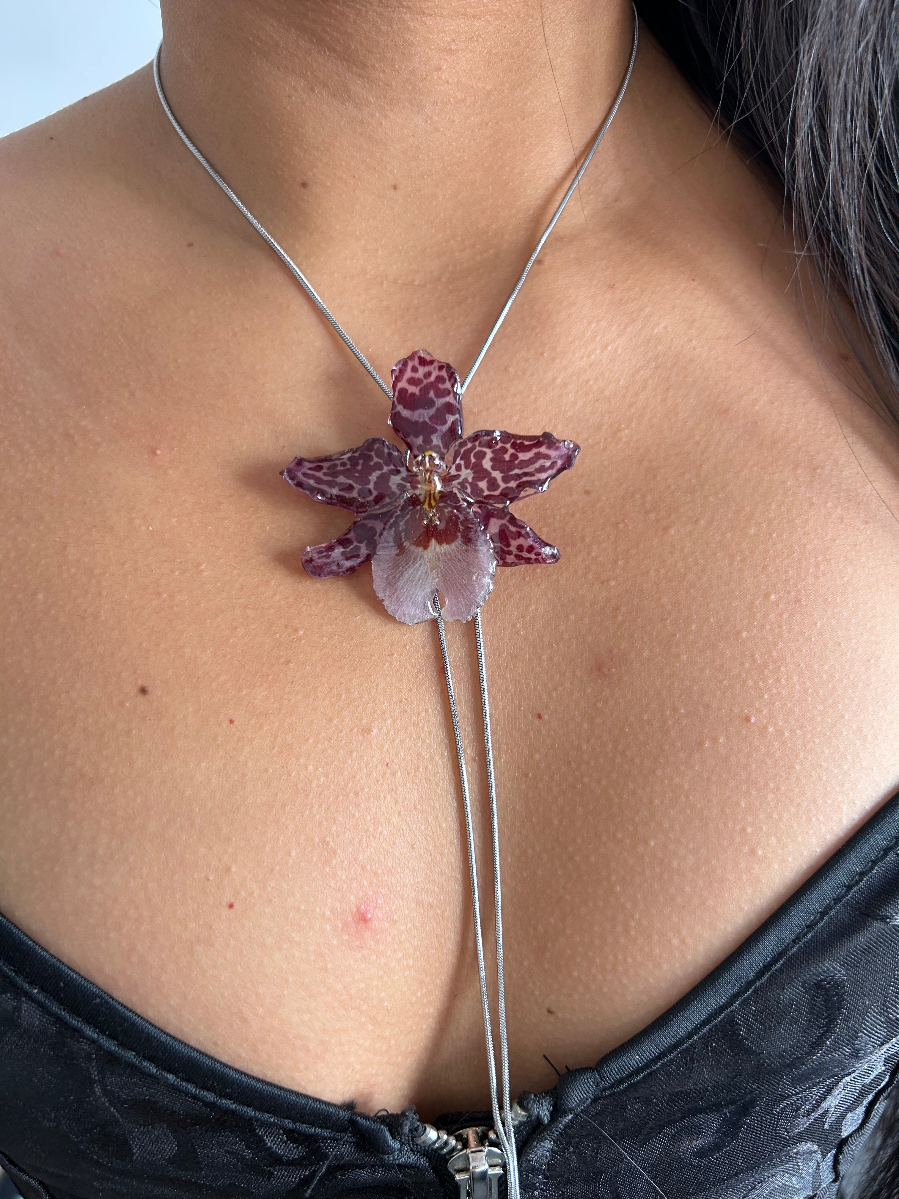 Exotic Orchid