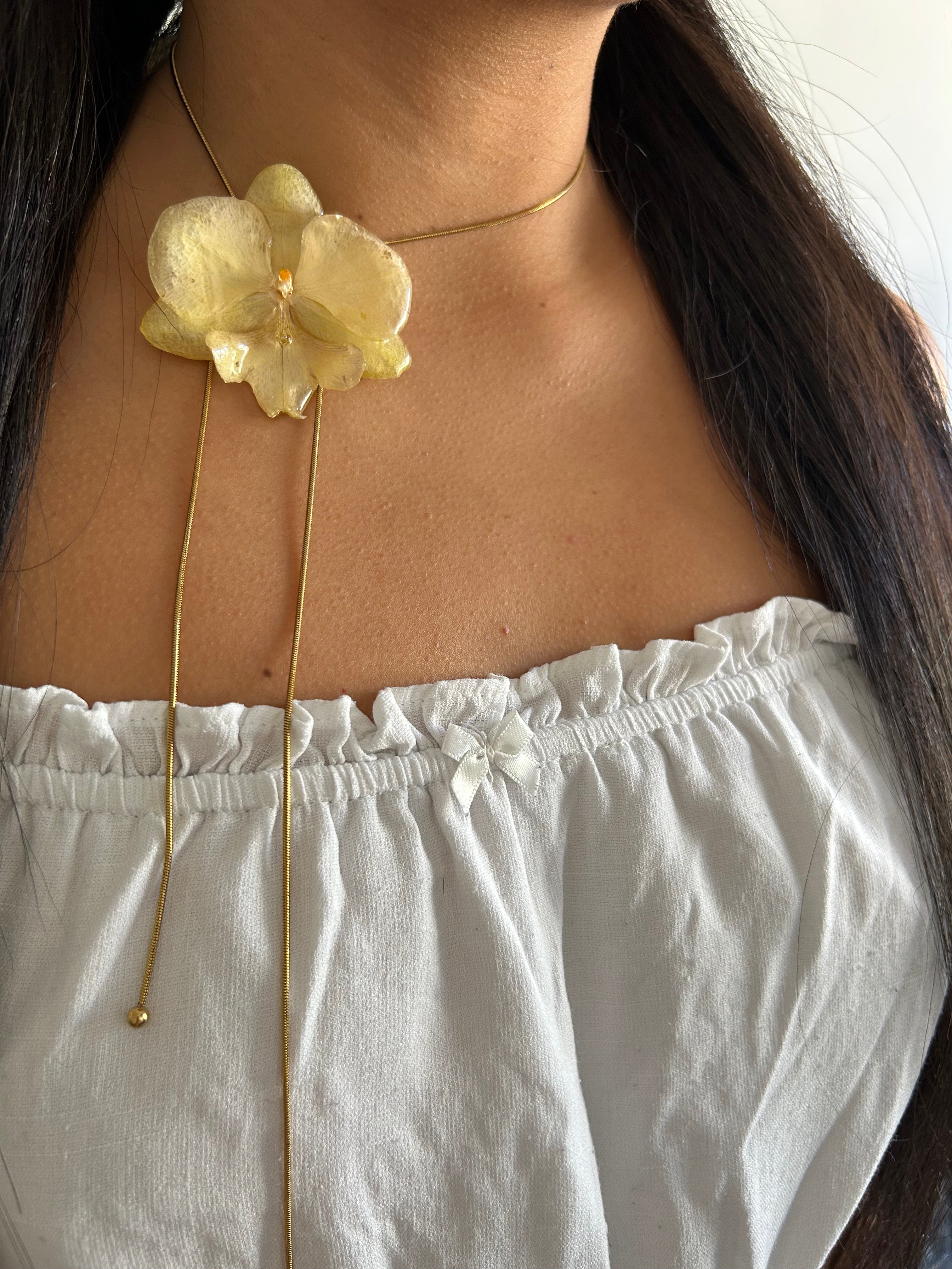 Grand orchid yellow premiun