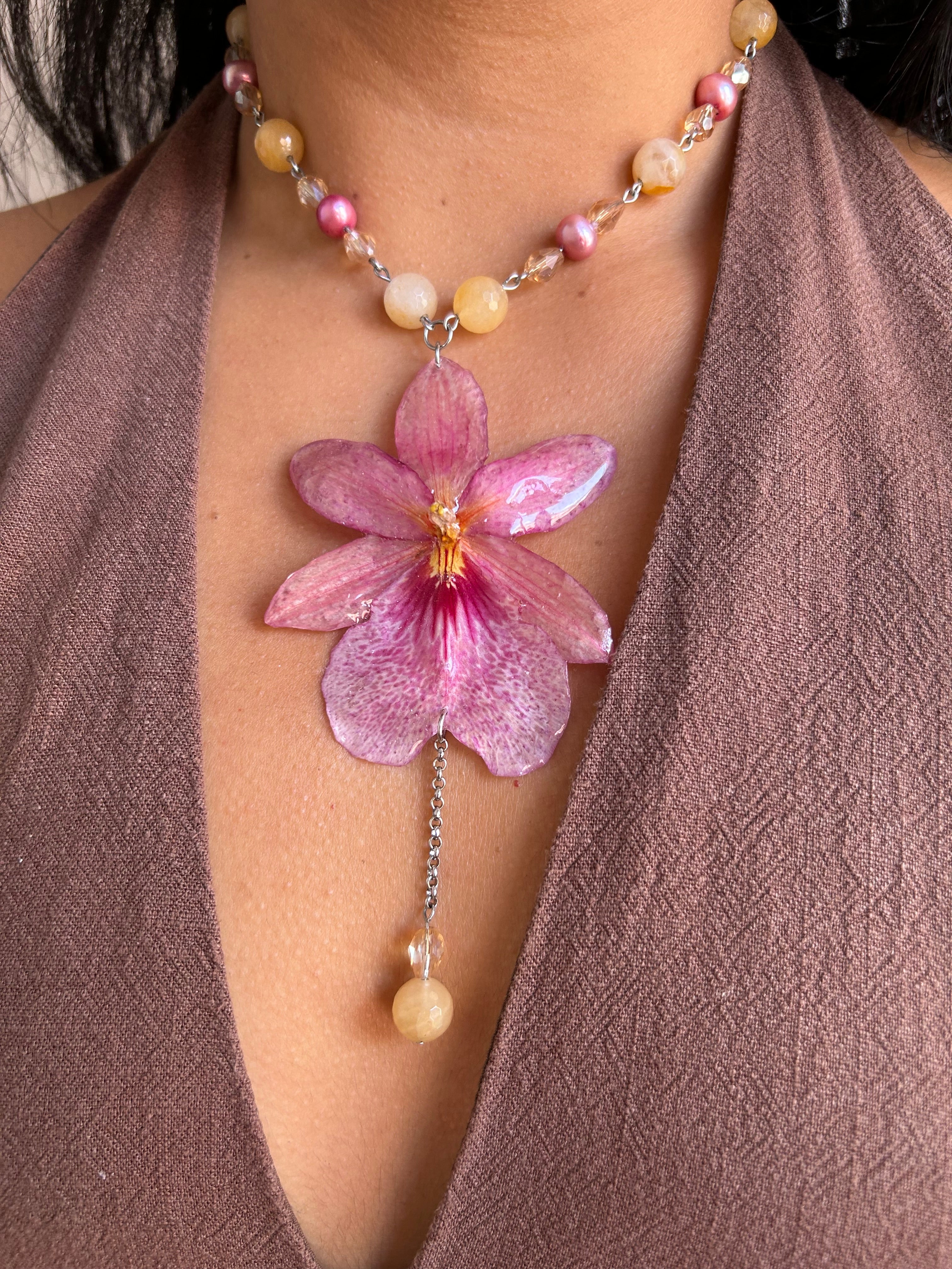 Orchid Nelly Pink
