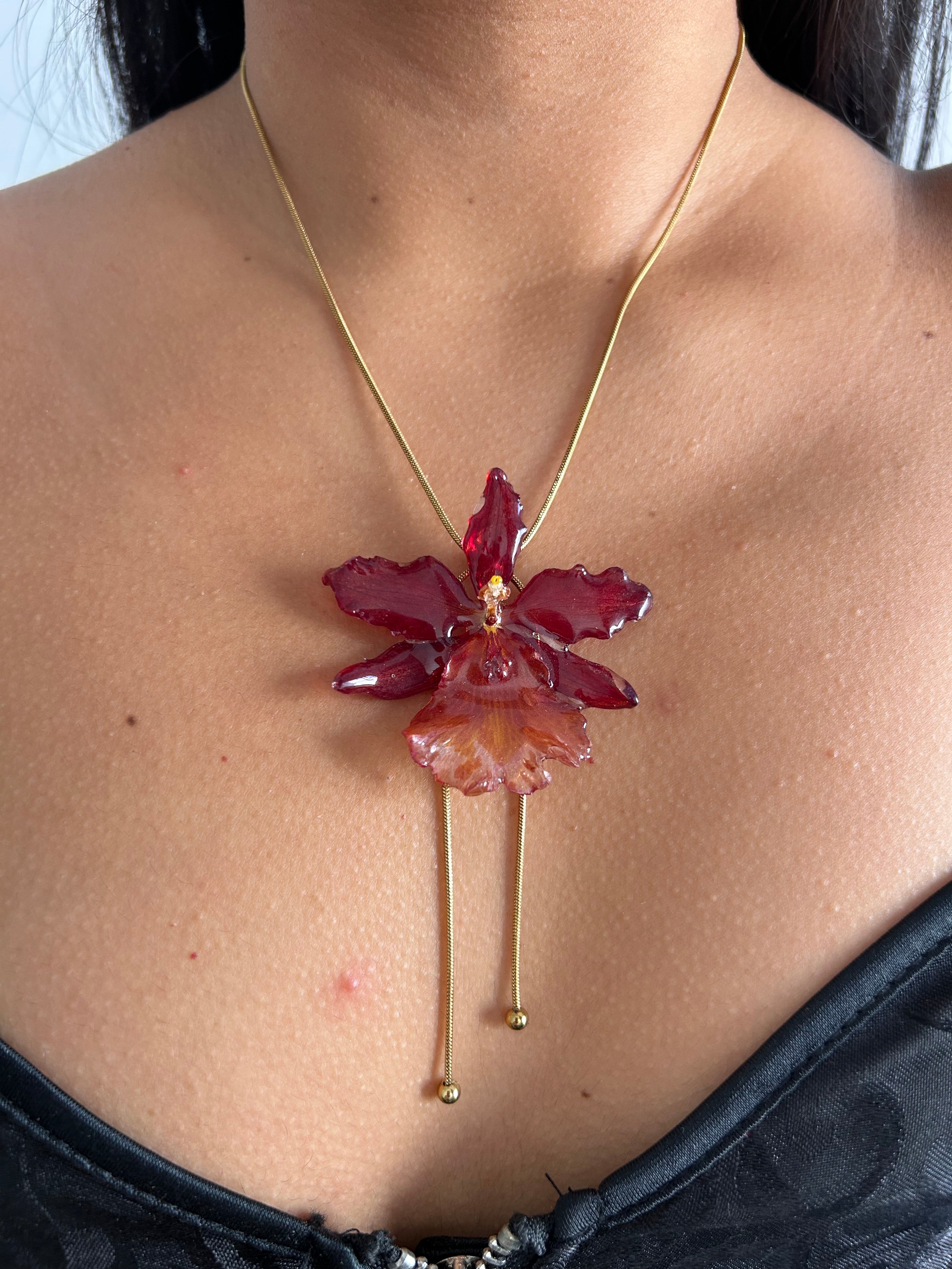 Exotic Orchid