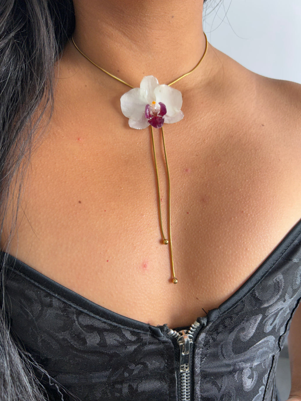 Orchid mini white