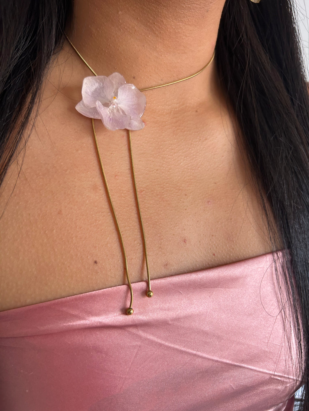 Orchid mini phalaenopsis