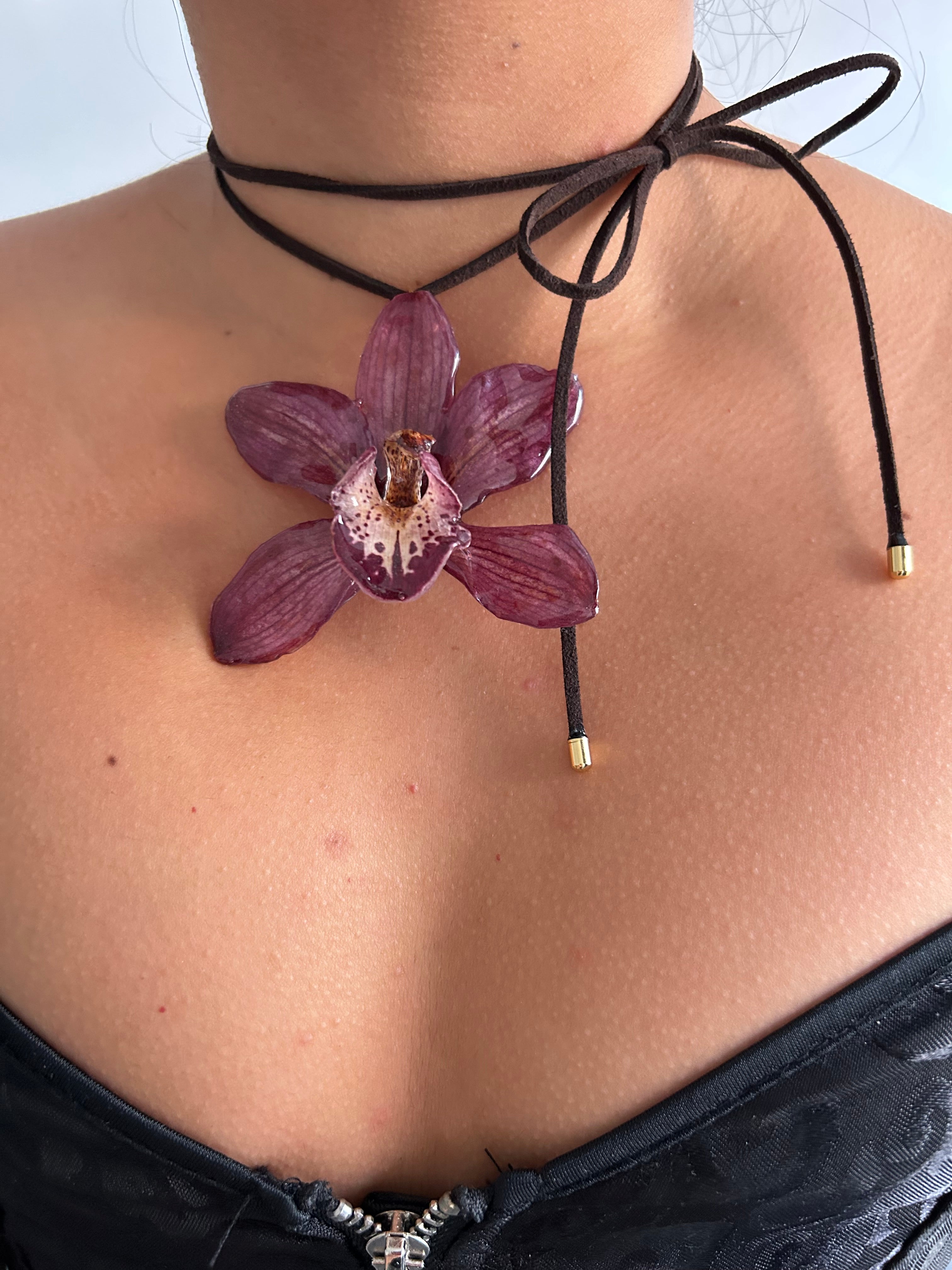 Grand orchid cymbidium lazo