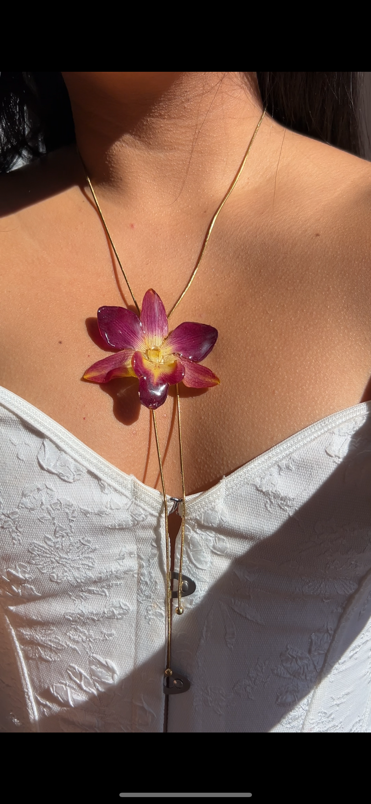 Orchid bello atardecer