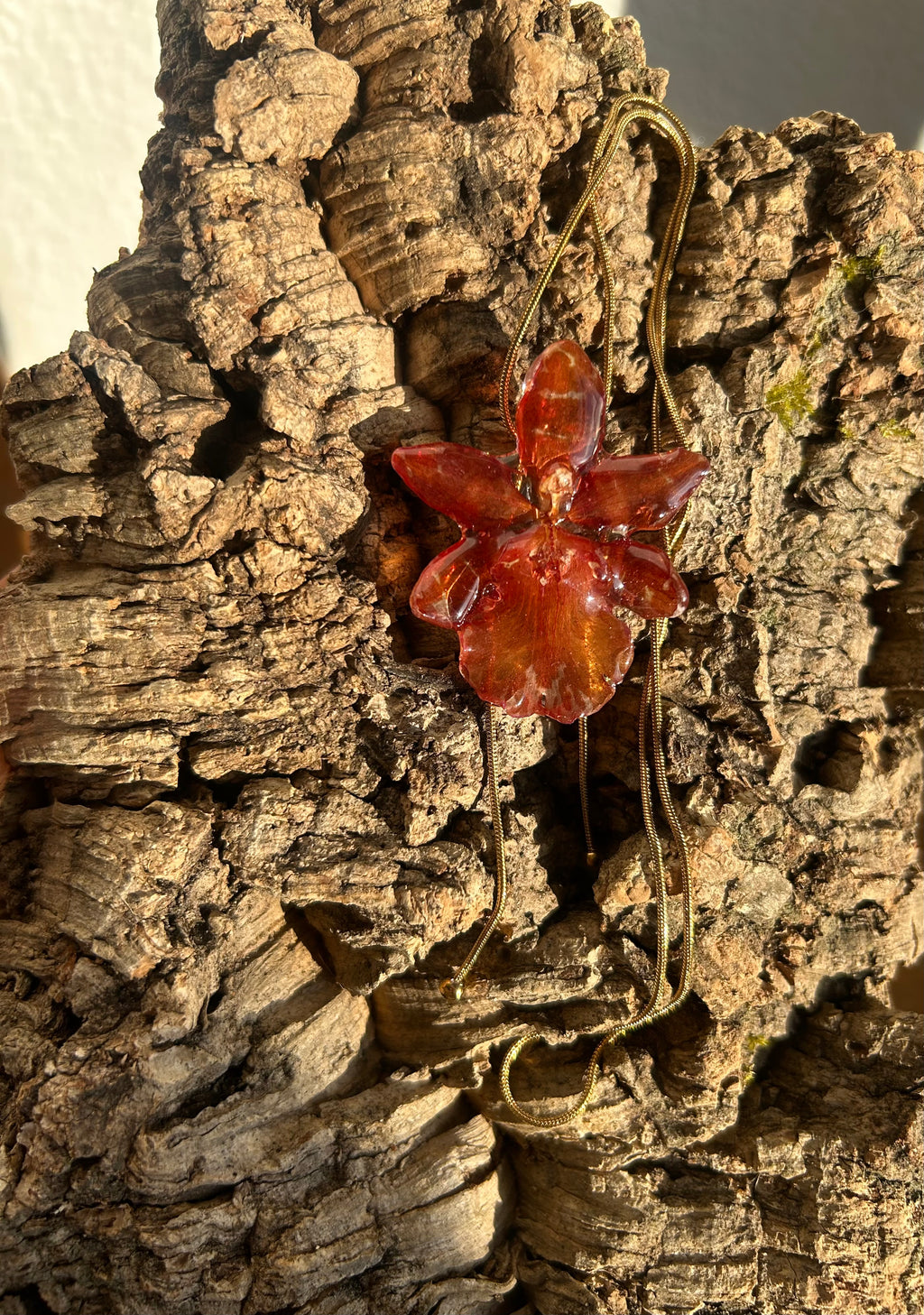 exotic orange orchid
