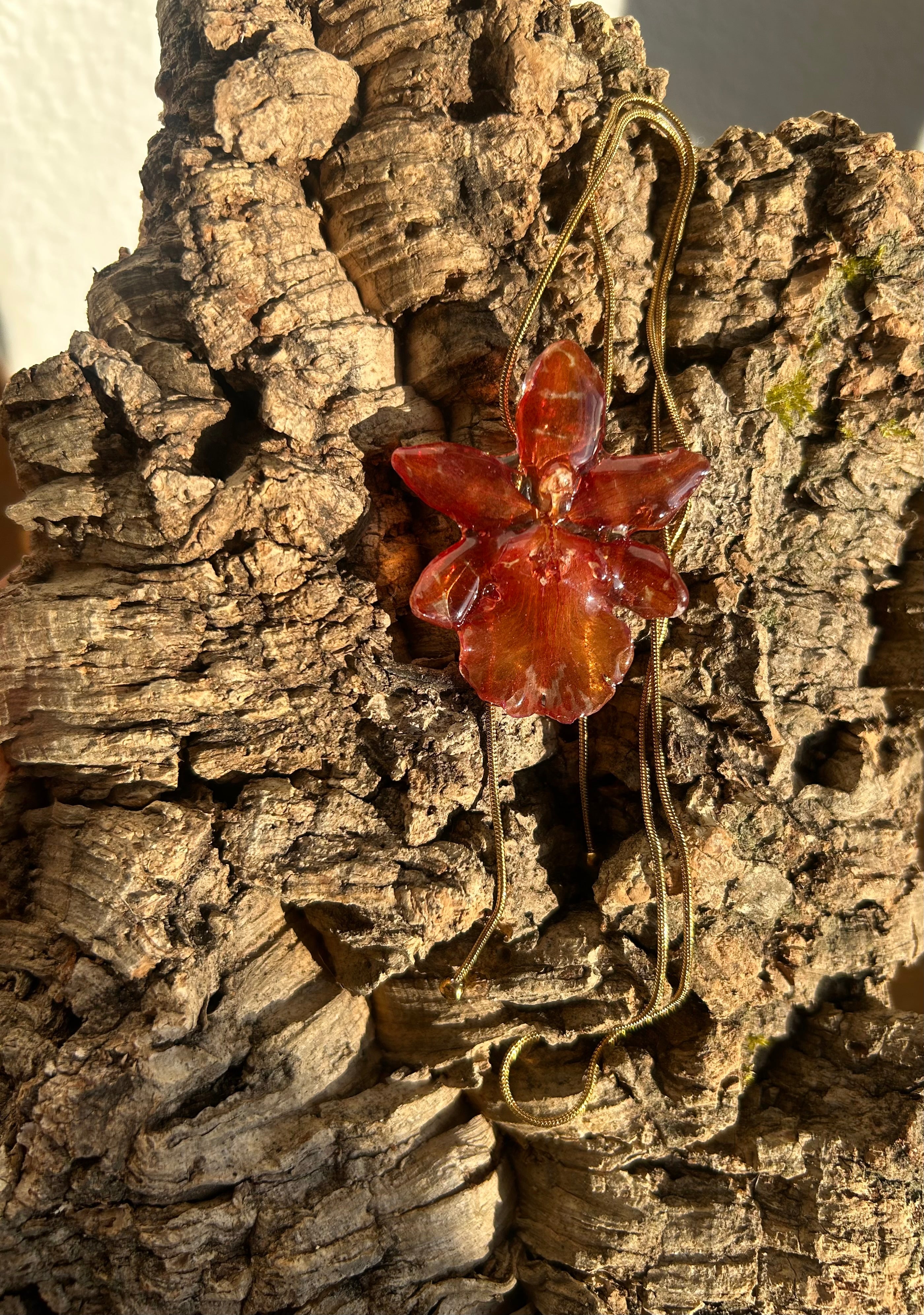 exotic orange orchid