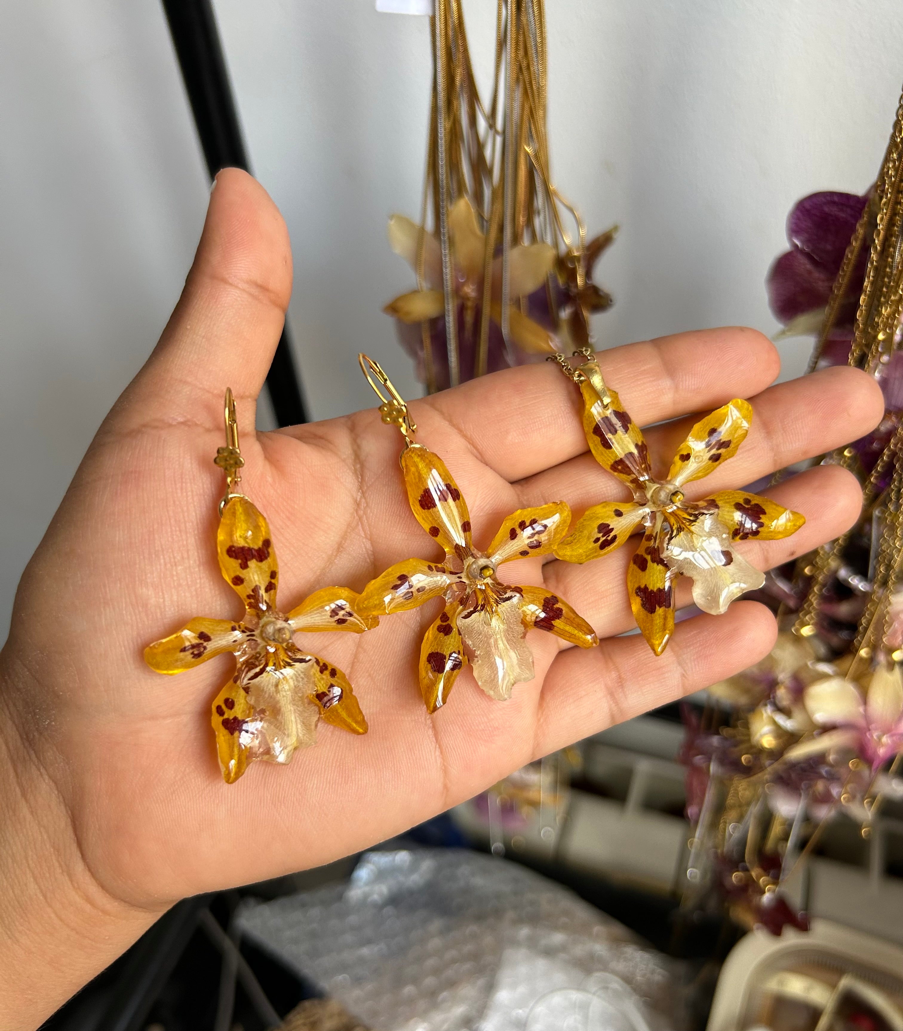 Conjunto de orquídeas exóticas