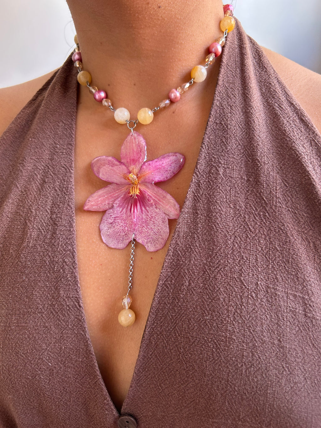 Orchid Nelly Pink