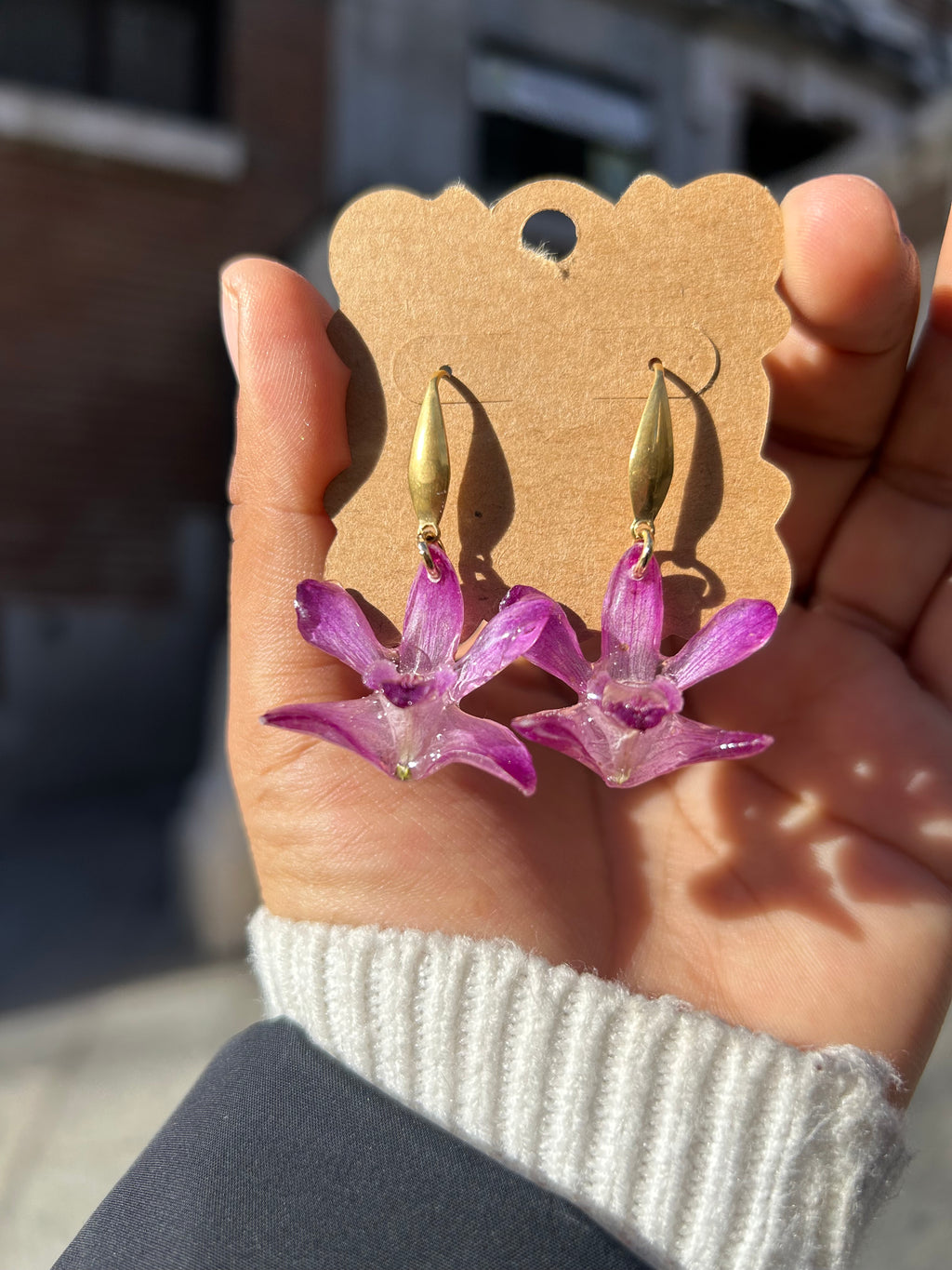 Orchid dendrobium mini cherry