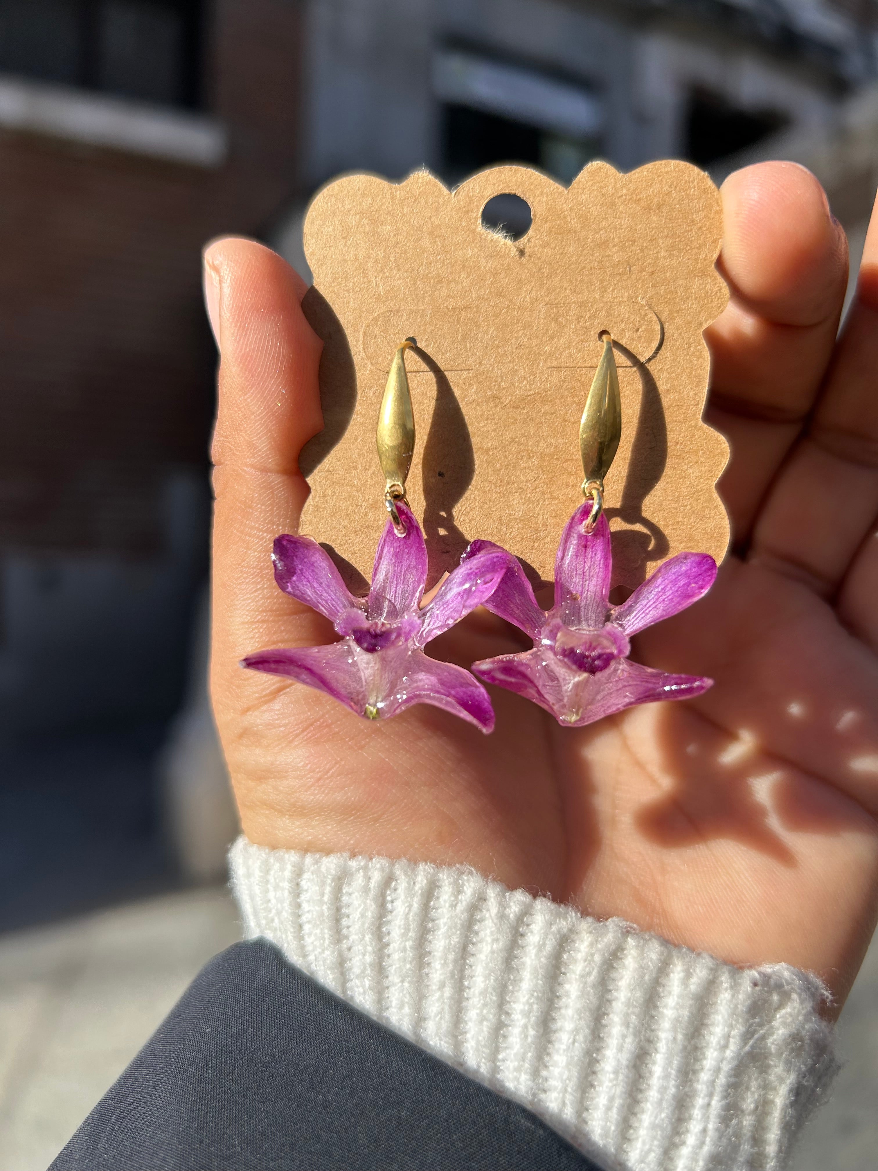 Orchid dendrobium mini cherry