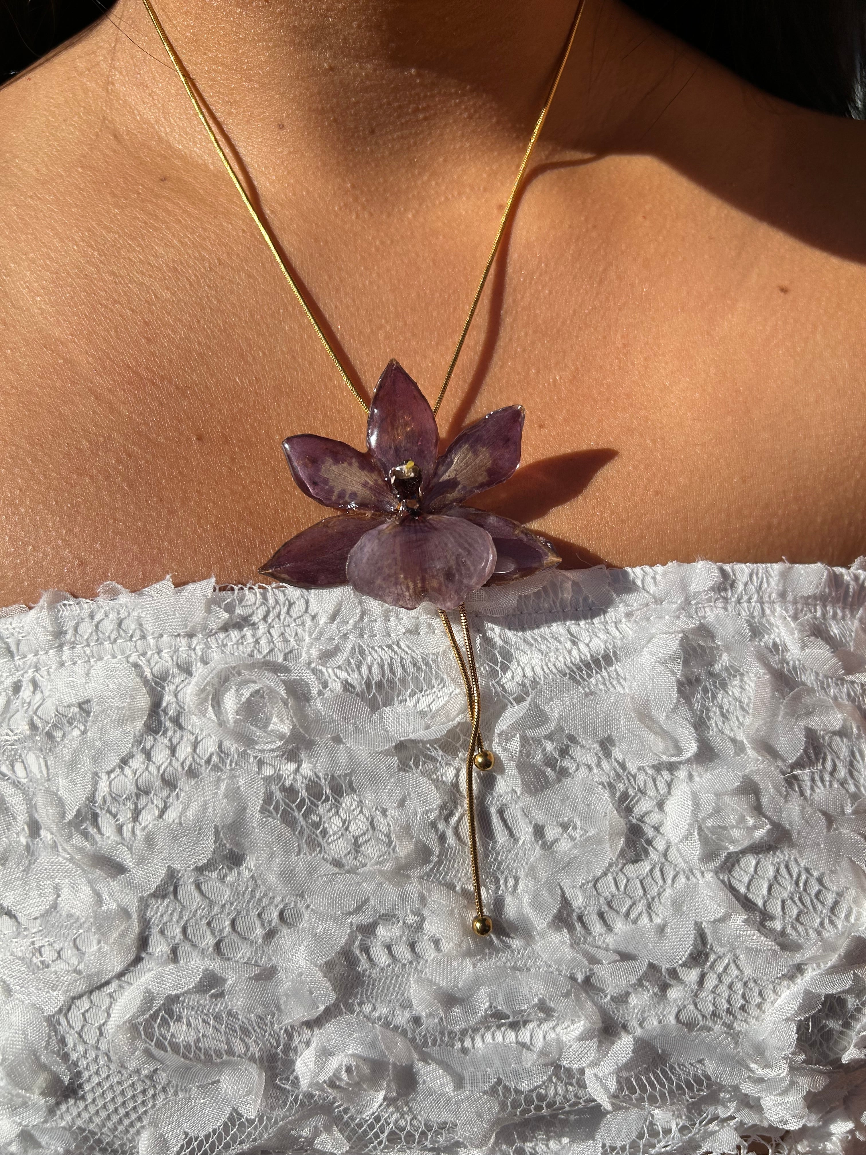 Orchid zygopetalum
