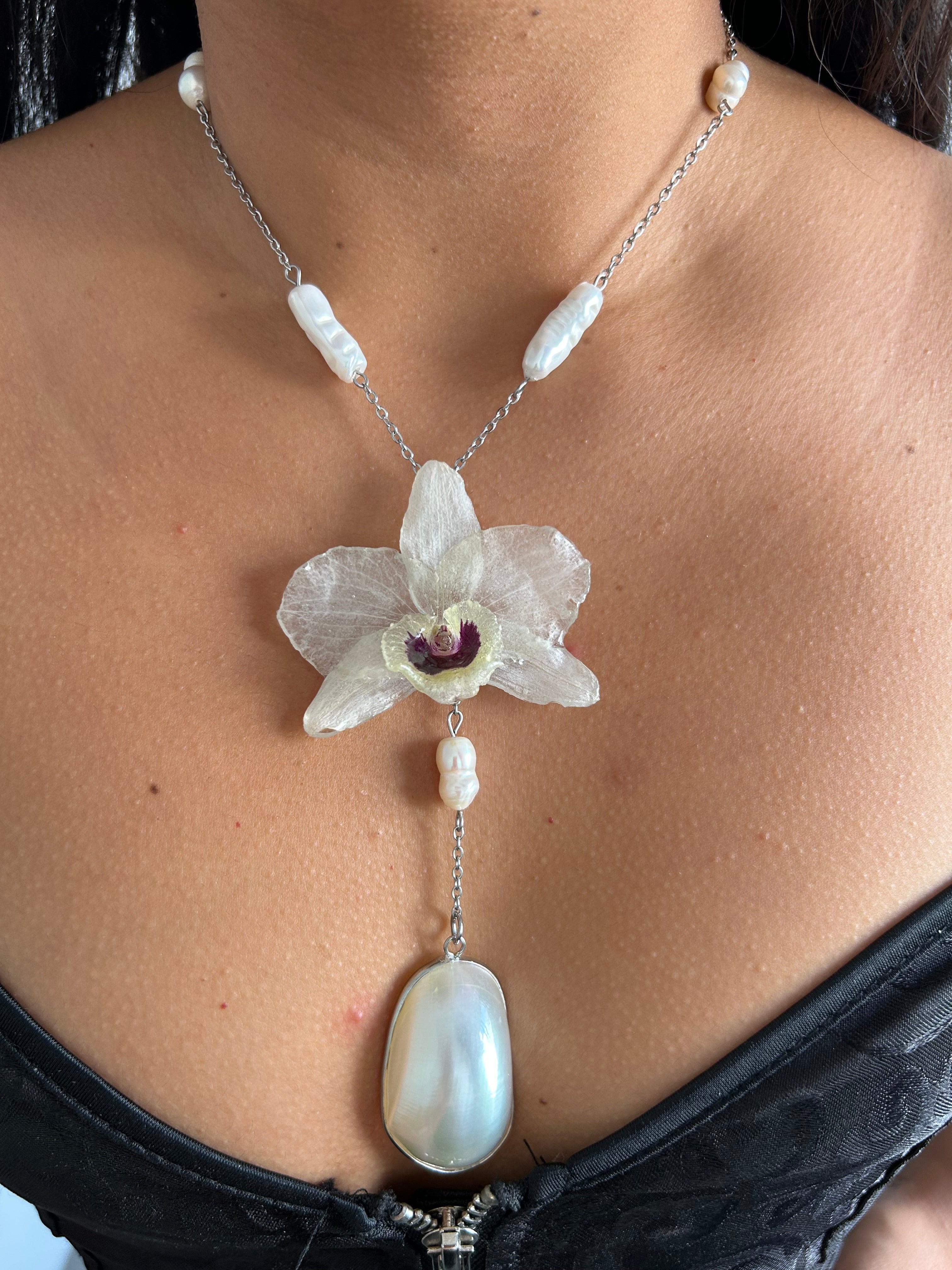Orchid dendrobium white with shell