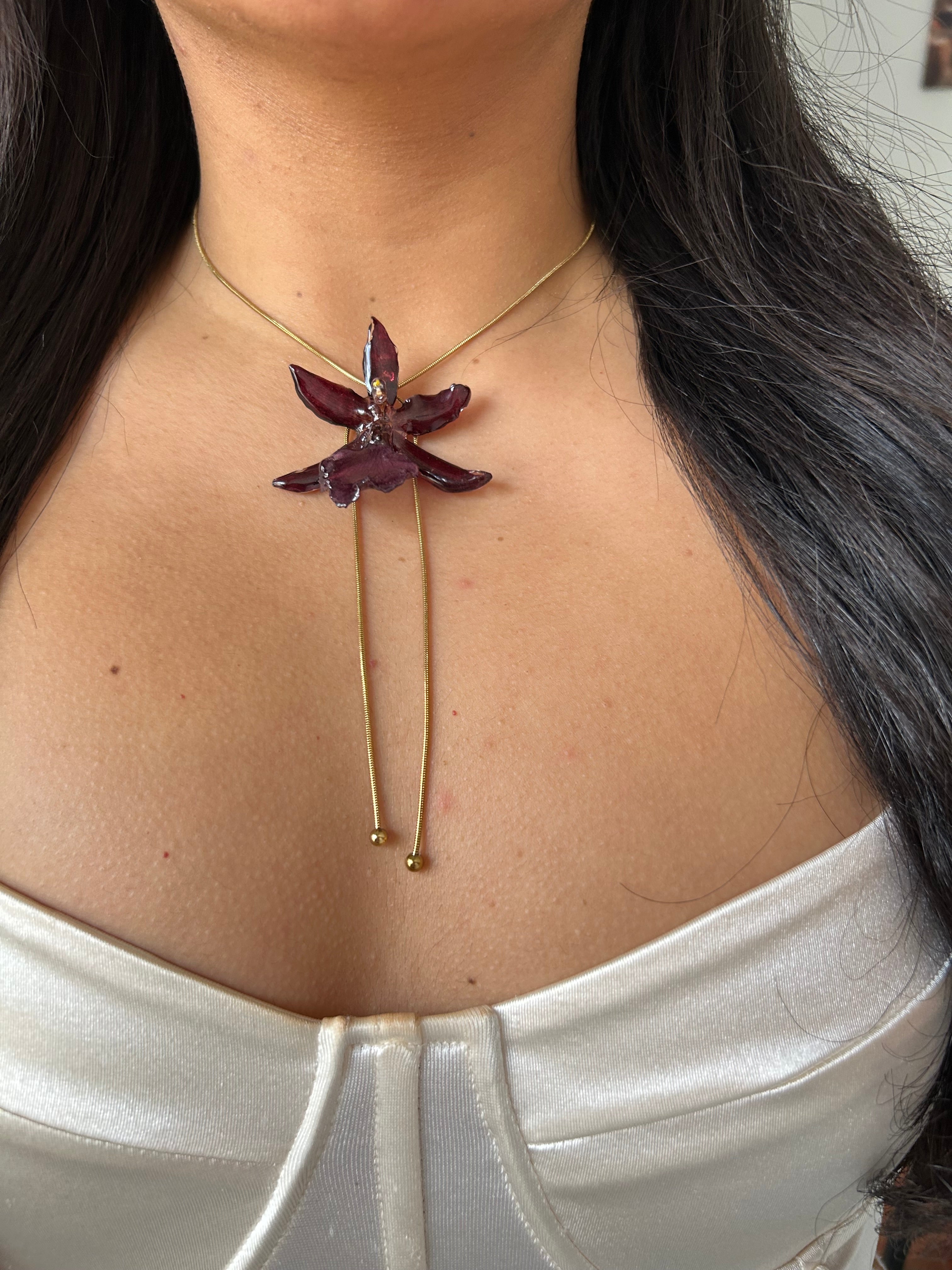 exotic burgundy orchid