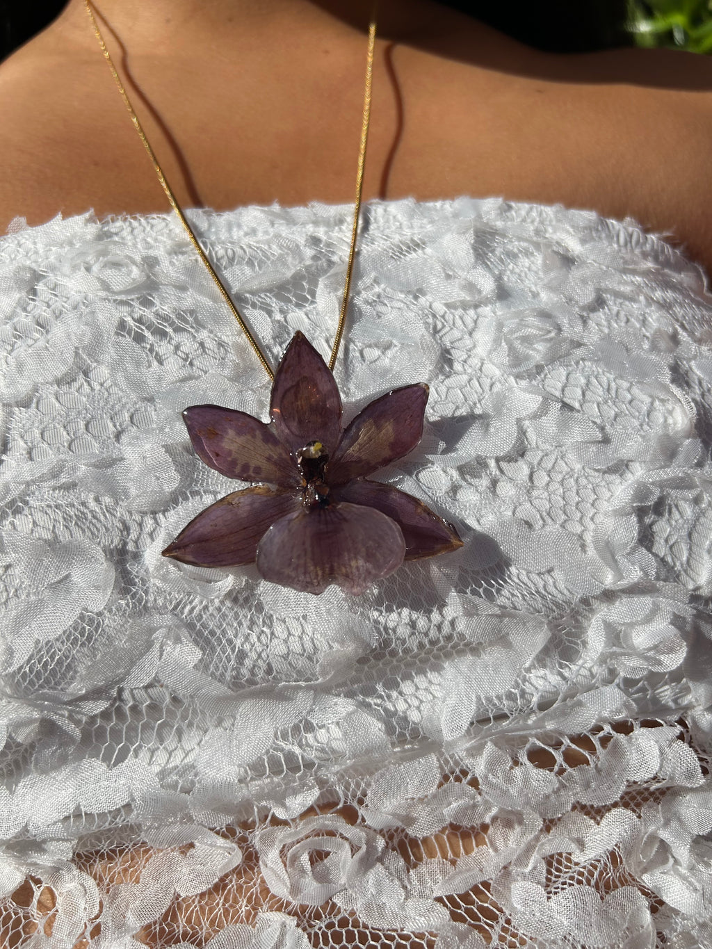 Orchid zygopetalum