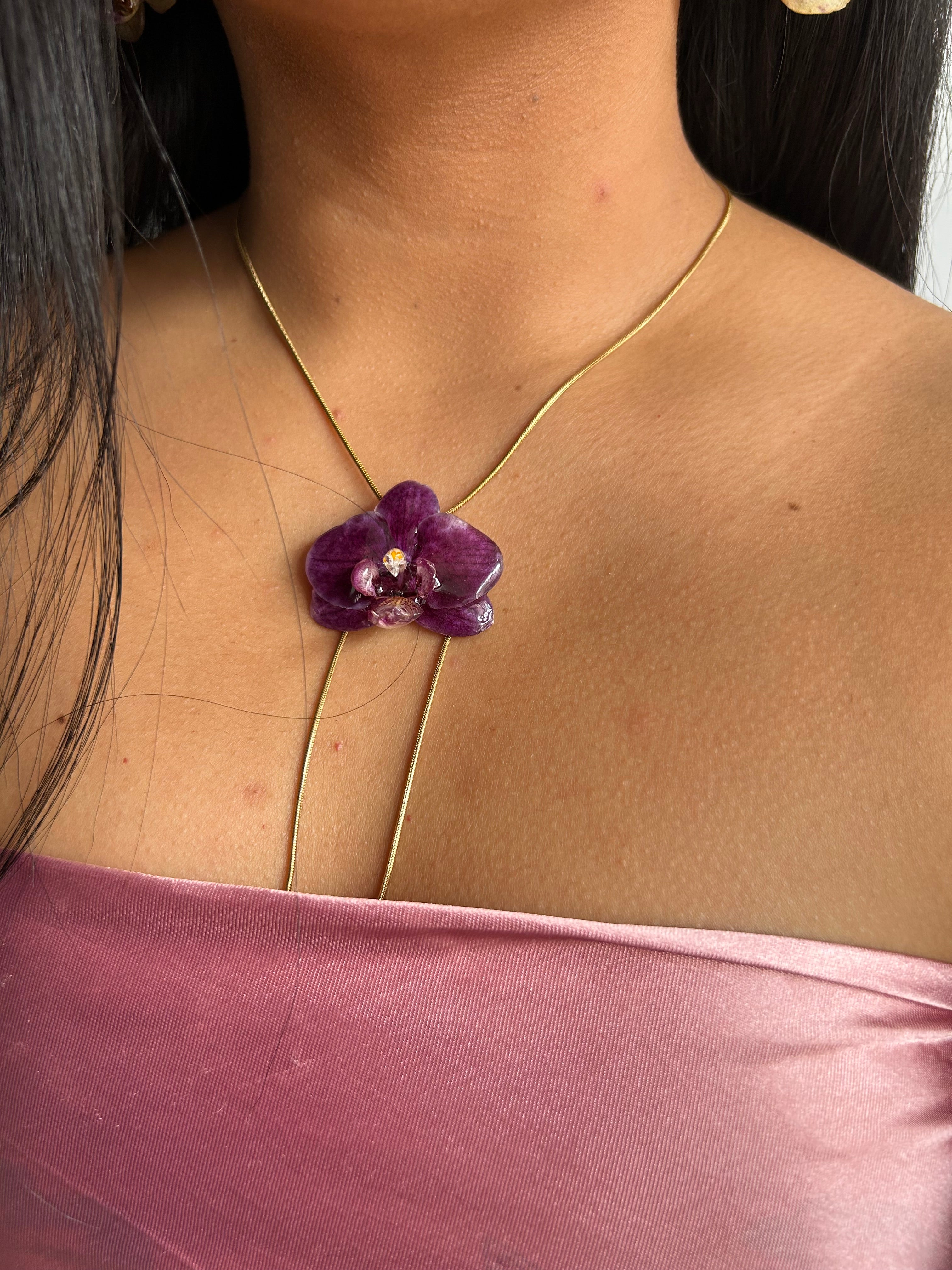 Orchid mini phalaenopsis purple