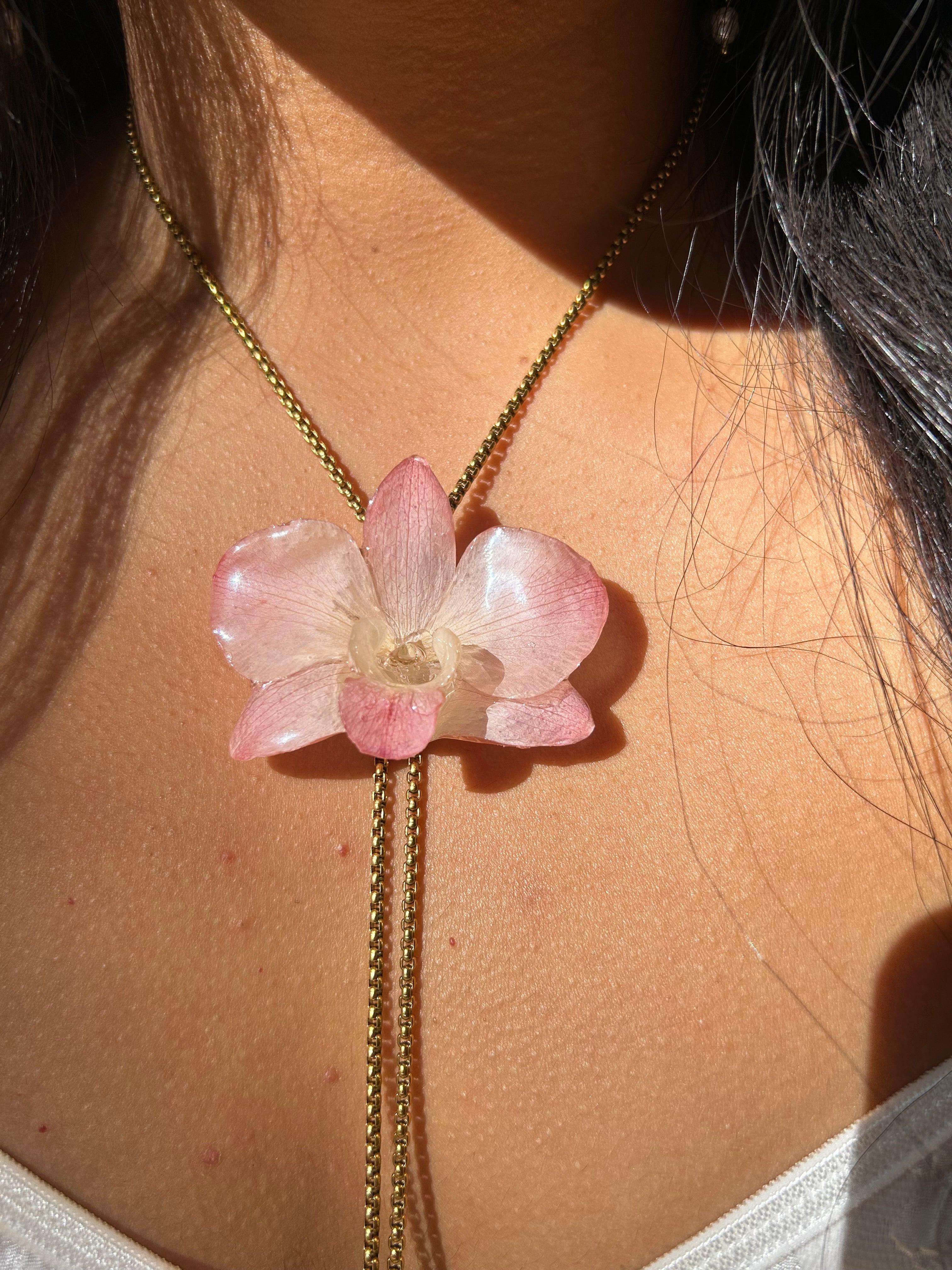 Orchid dendrobium real