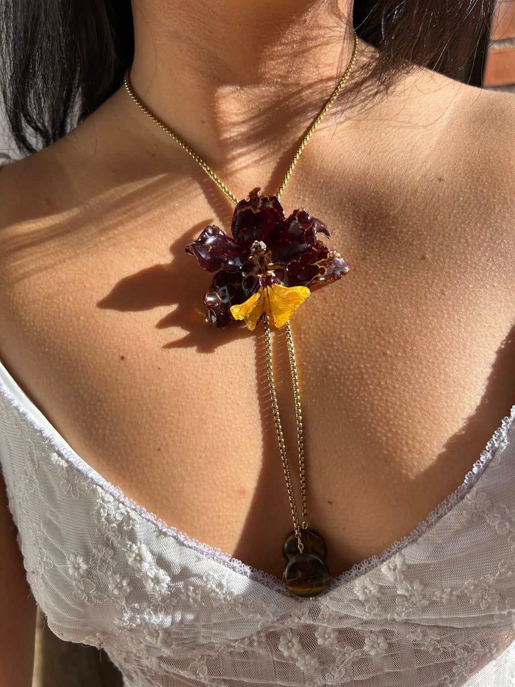 Exotic Orchid wild brown