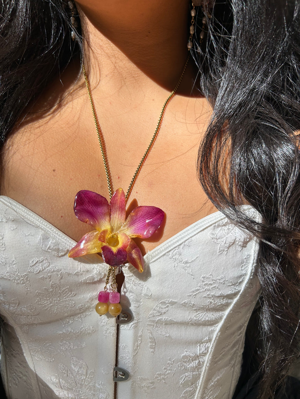 Orchid dendrobium bello atardecer