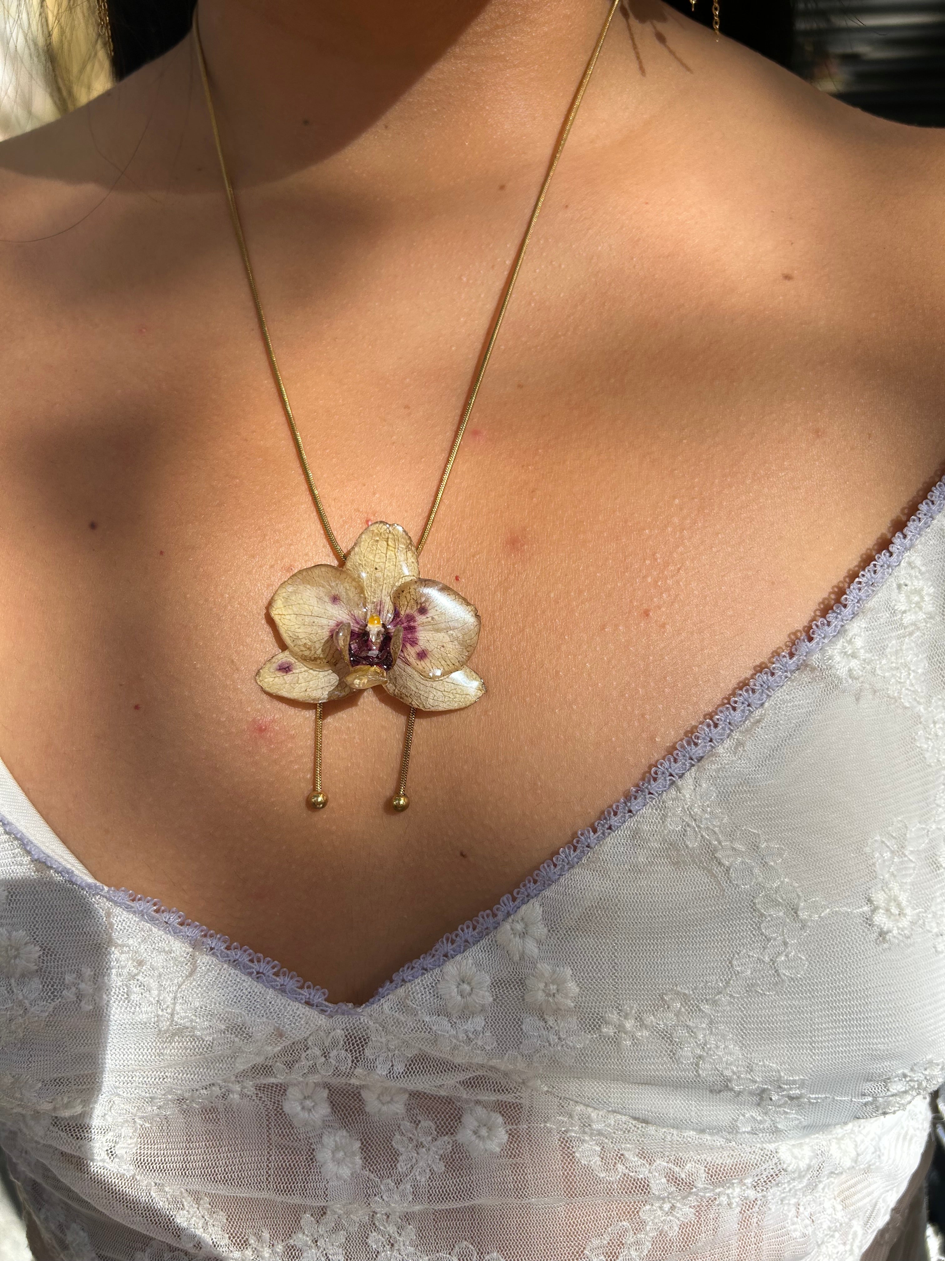 Orchid mini yellow