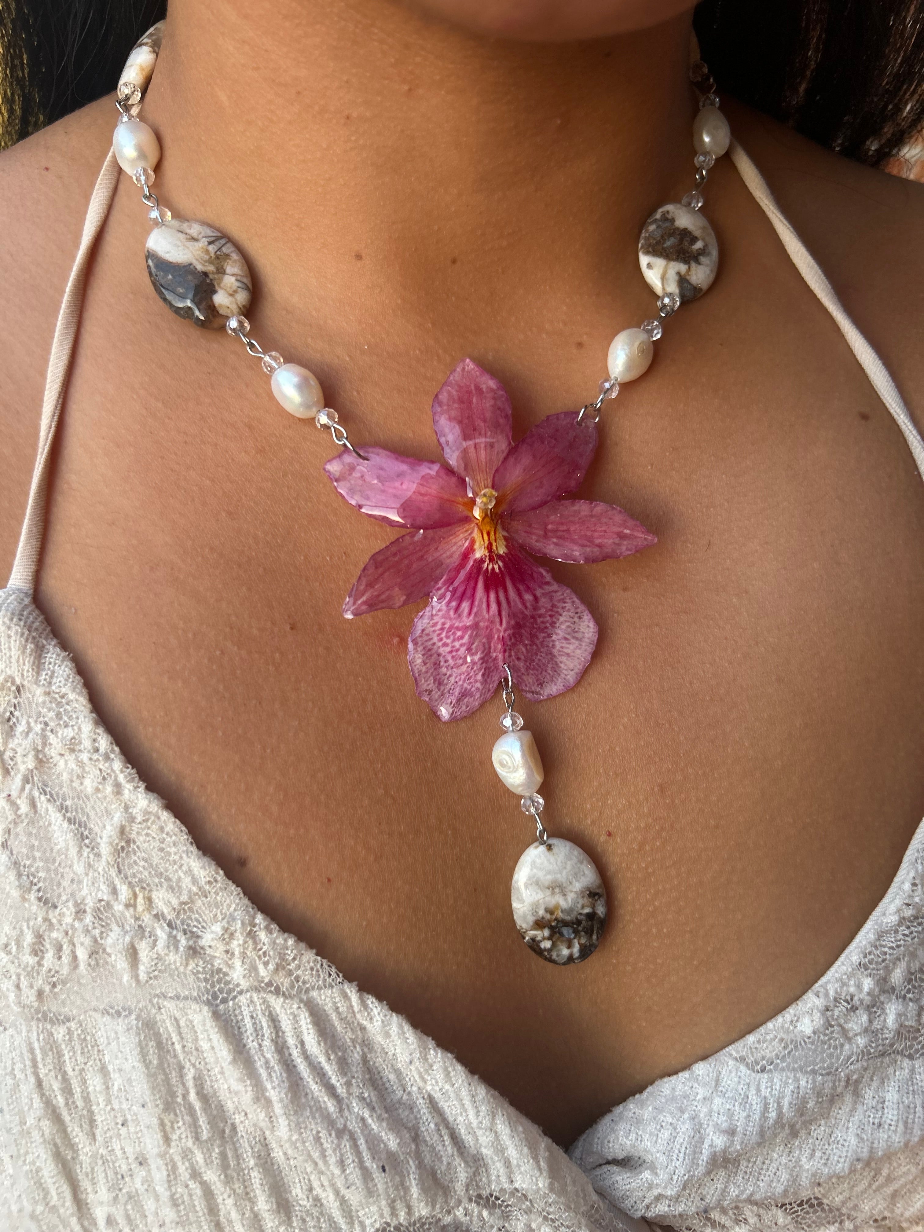 Orquídea Nelly isler orange