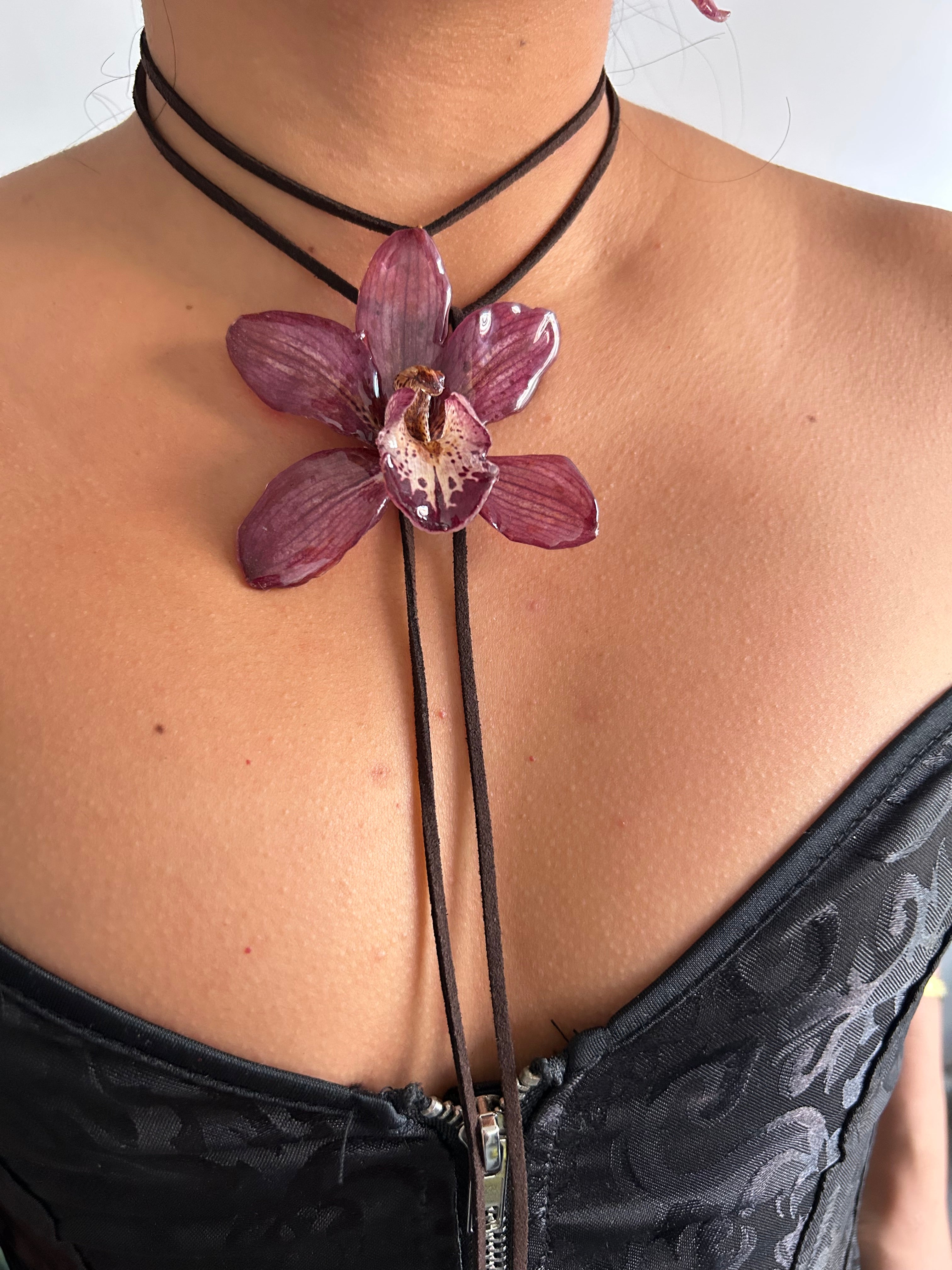 Grand orchid cymbidium lazo