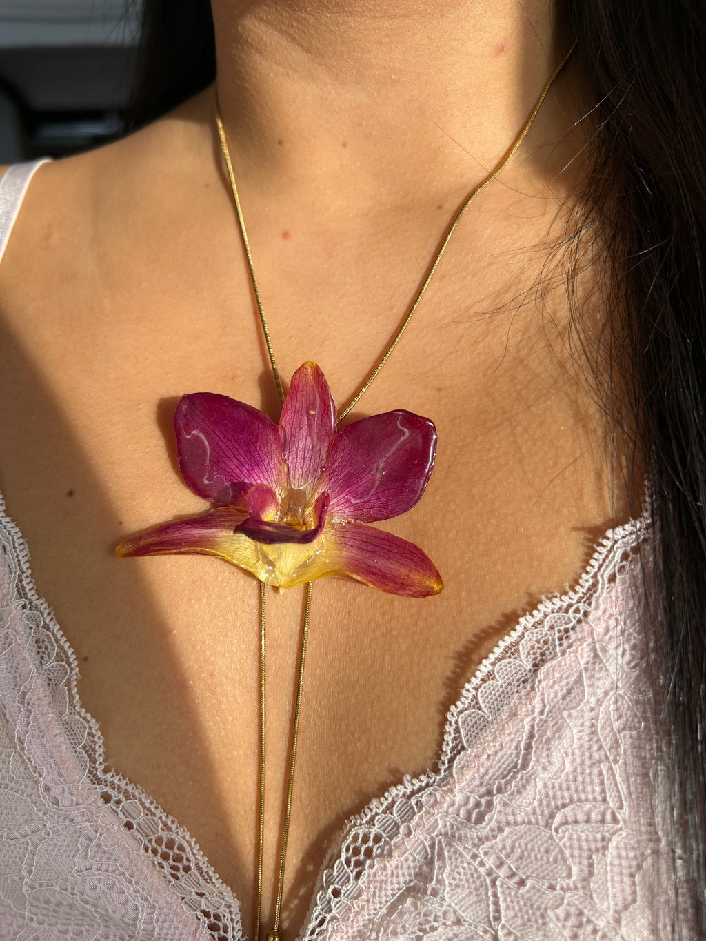 Orchid bello atardecer 2.0