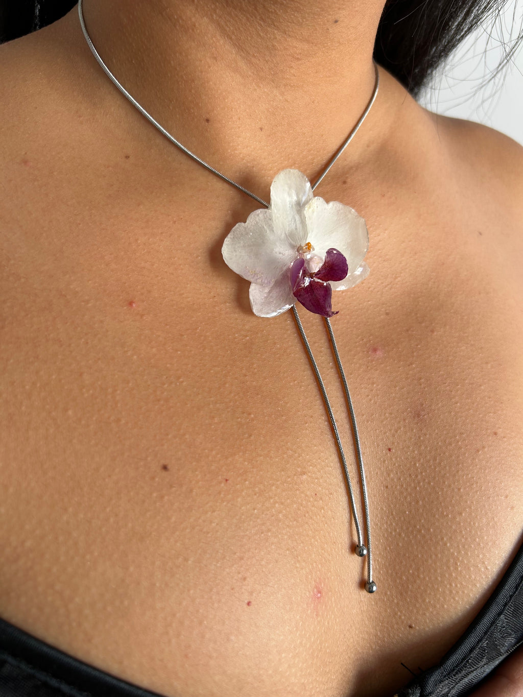 Orchid mini white