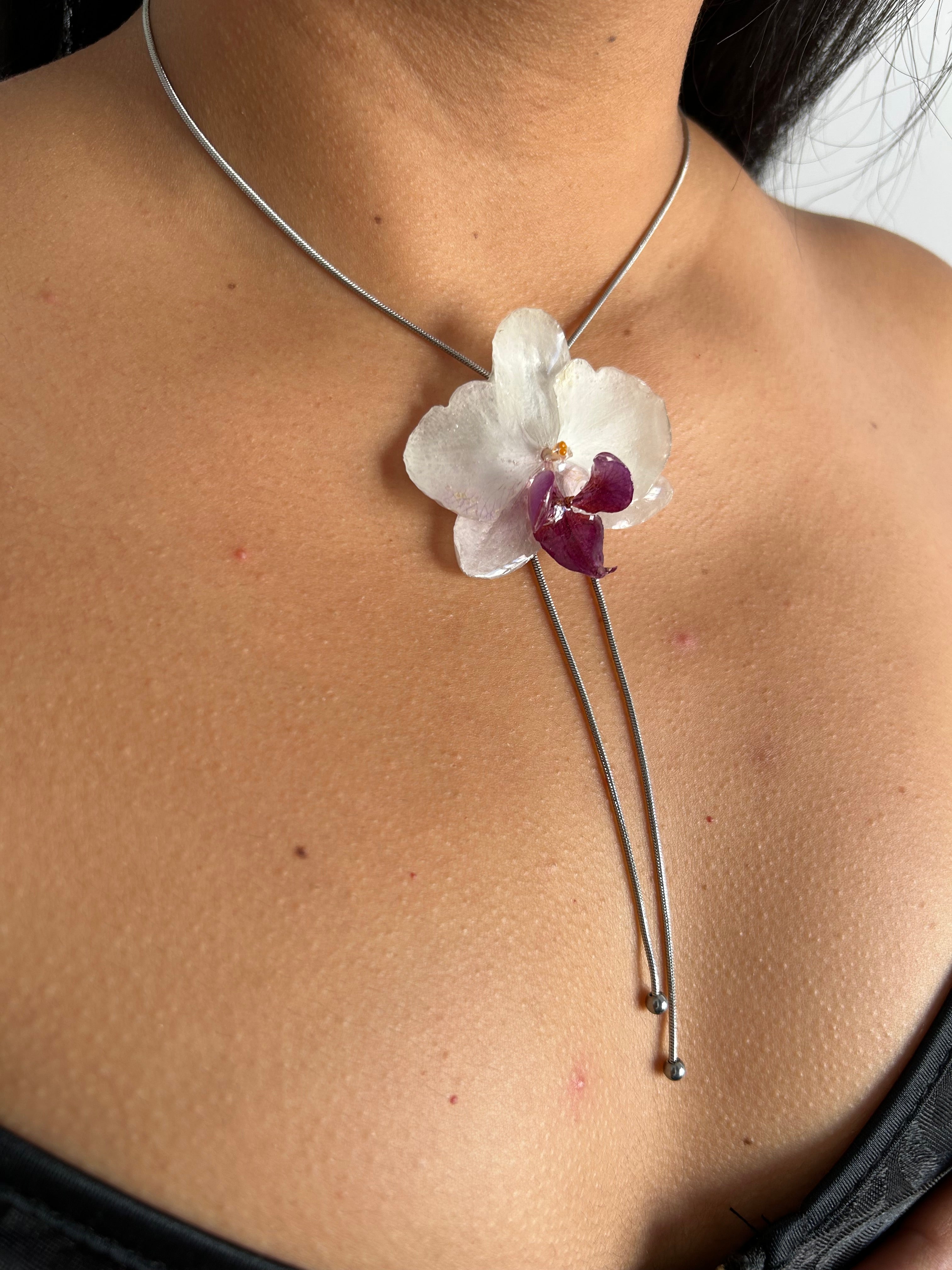 Orchid mini white