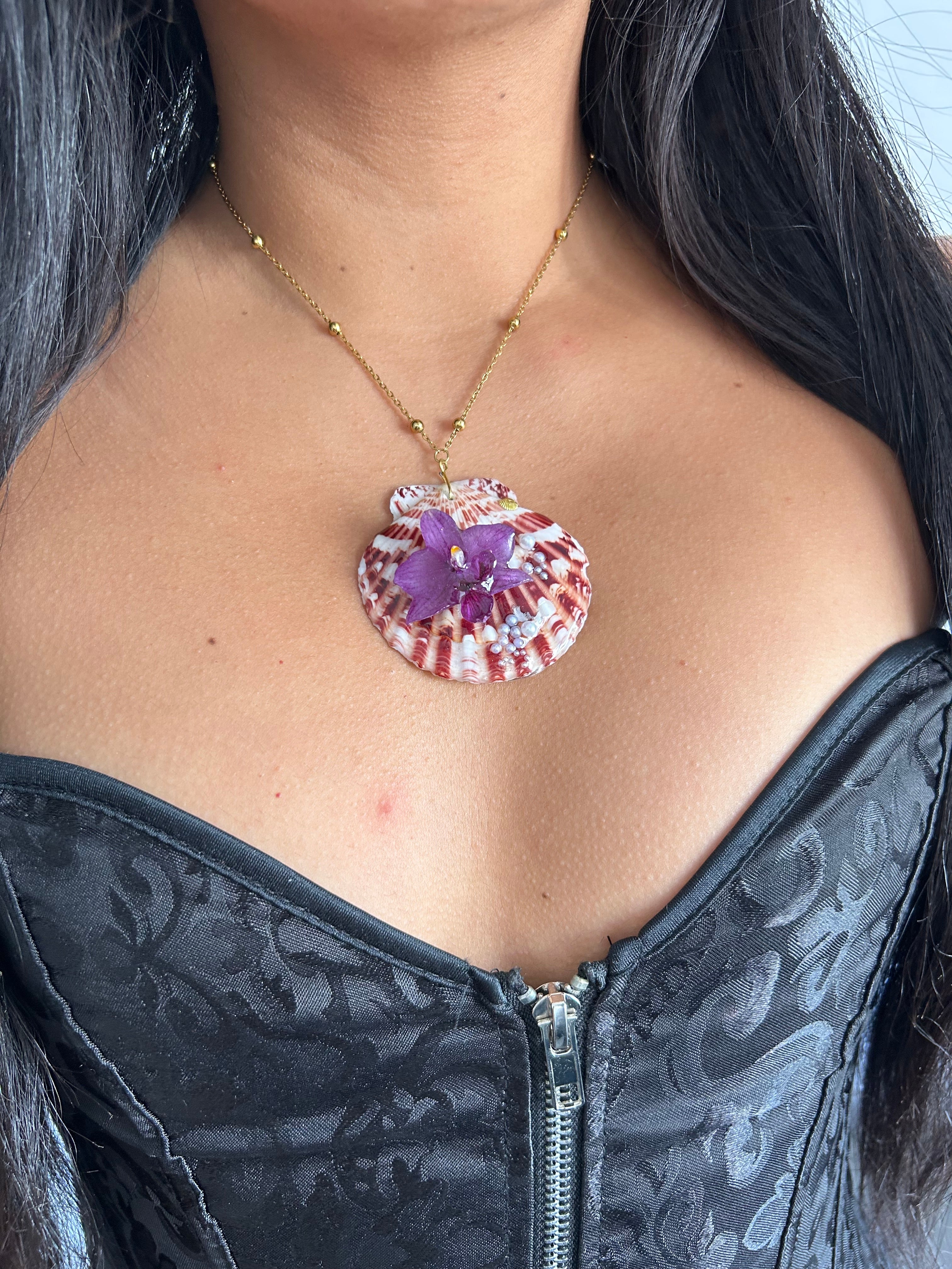 Orchid mini and shell