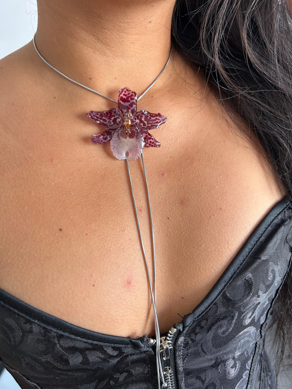 Exotic Orchid